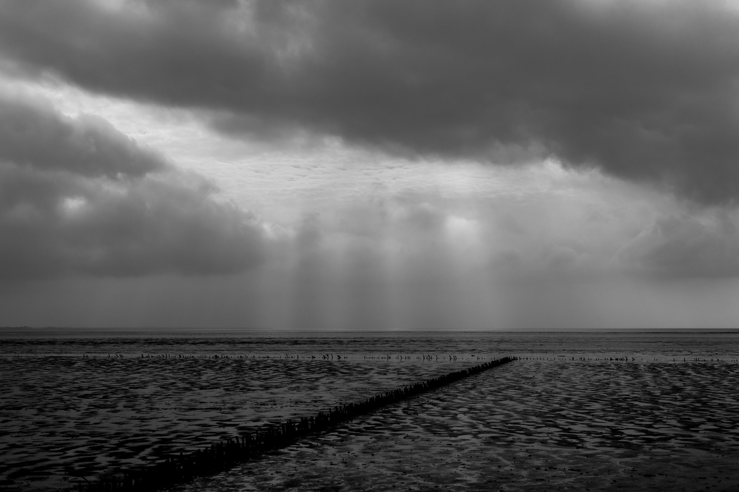 ASH -l Mike Dugenio (4 of 7).jpg