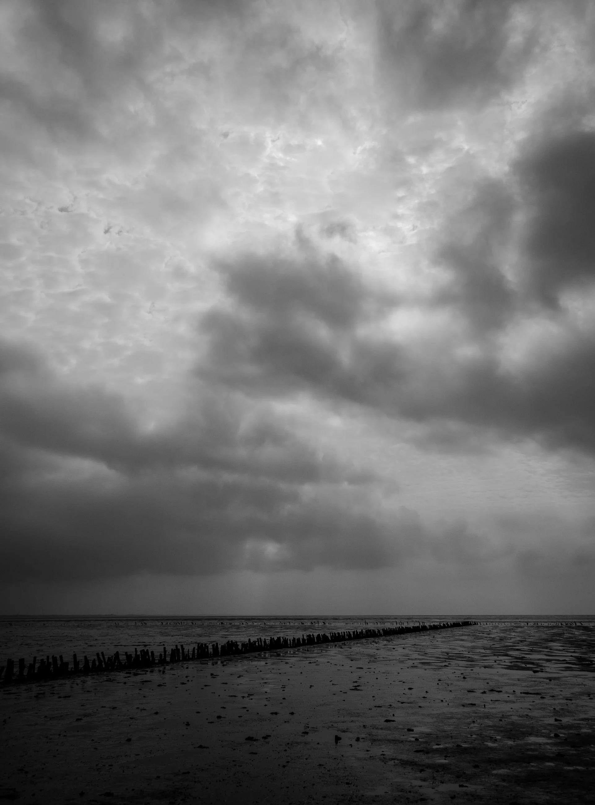 ASH -l Mike Dugenio (5 of 7).jpg