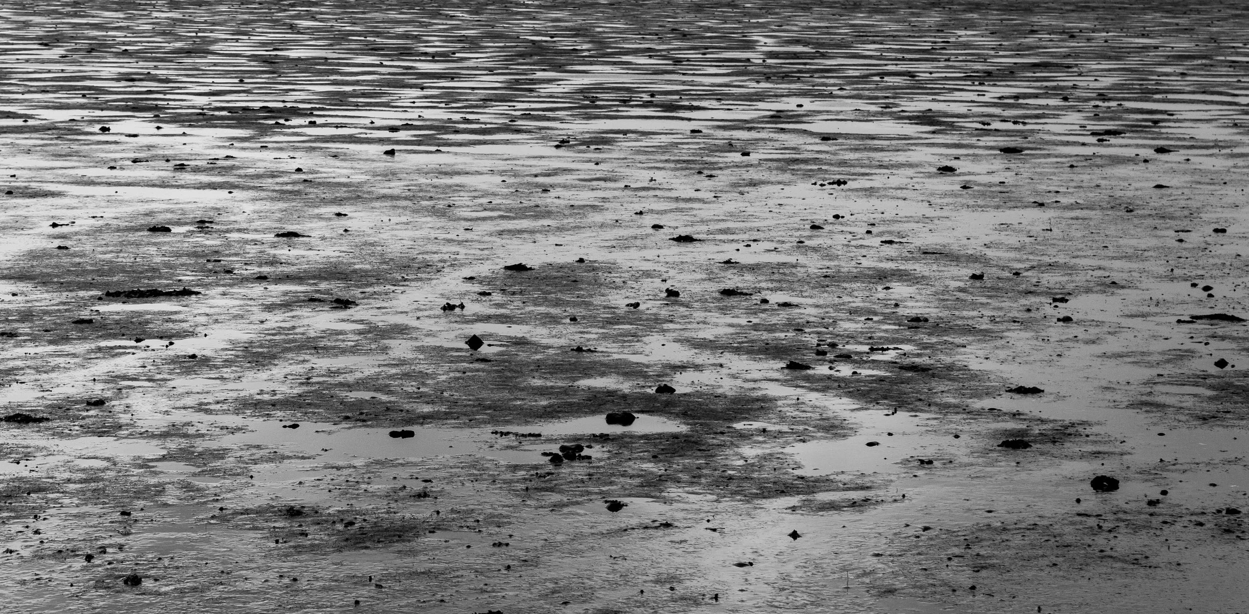 ASH -l Mike Dugenio (7 of 7).jpg