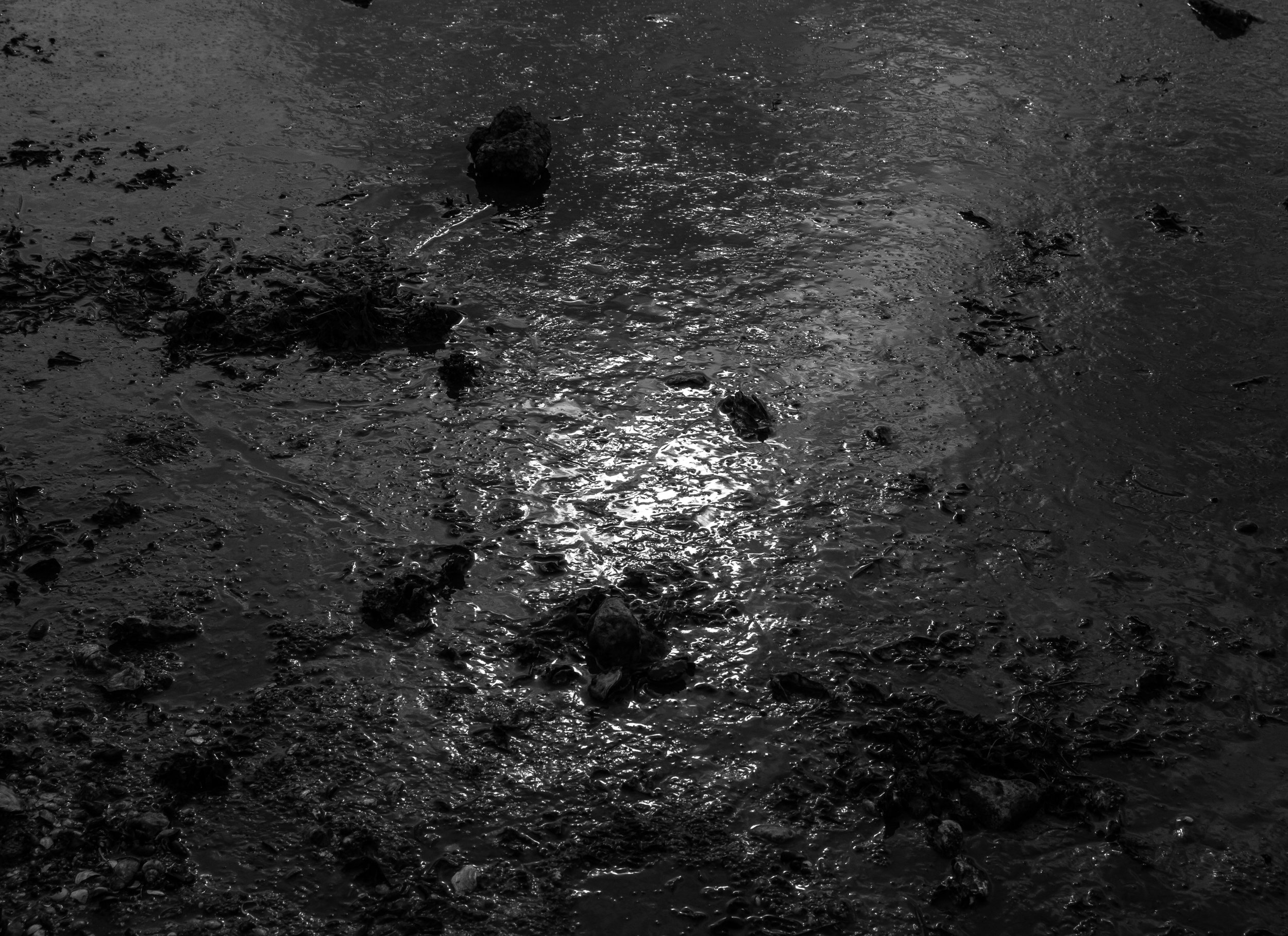 ASH -l Mike Dugenio (6 of 7).jpg