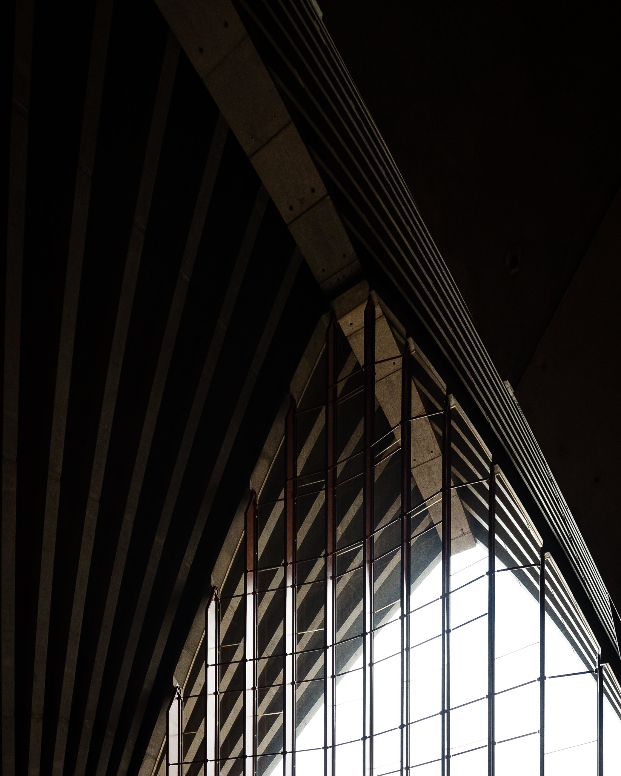 utz (1 of 1)-2.jpg