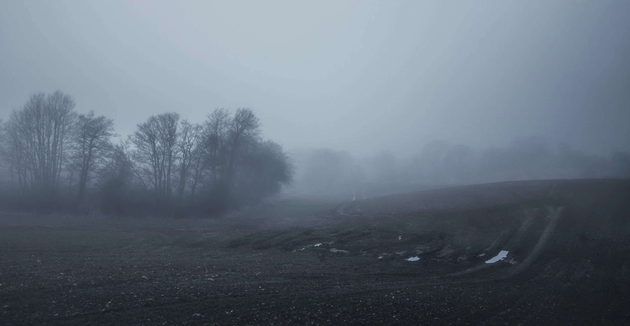 mistblule (2 of 2).jpg