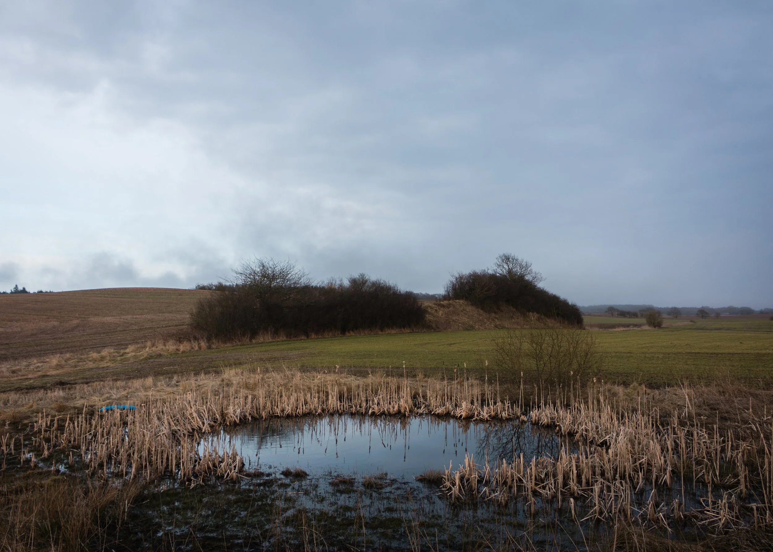 lowblue (1 of 2).jpg