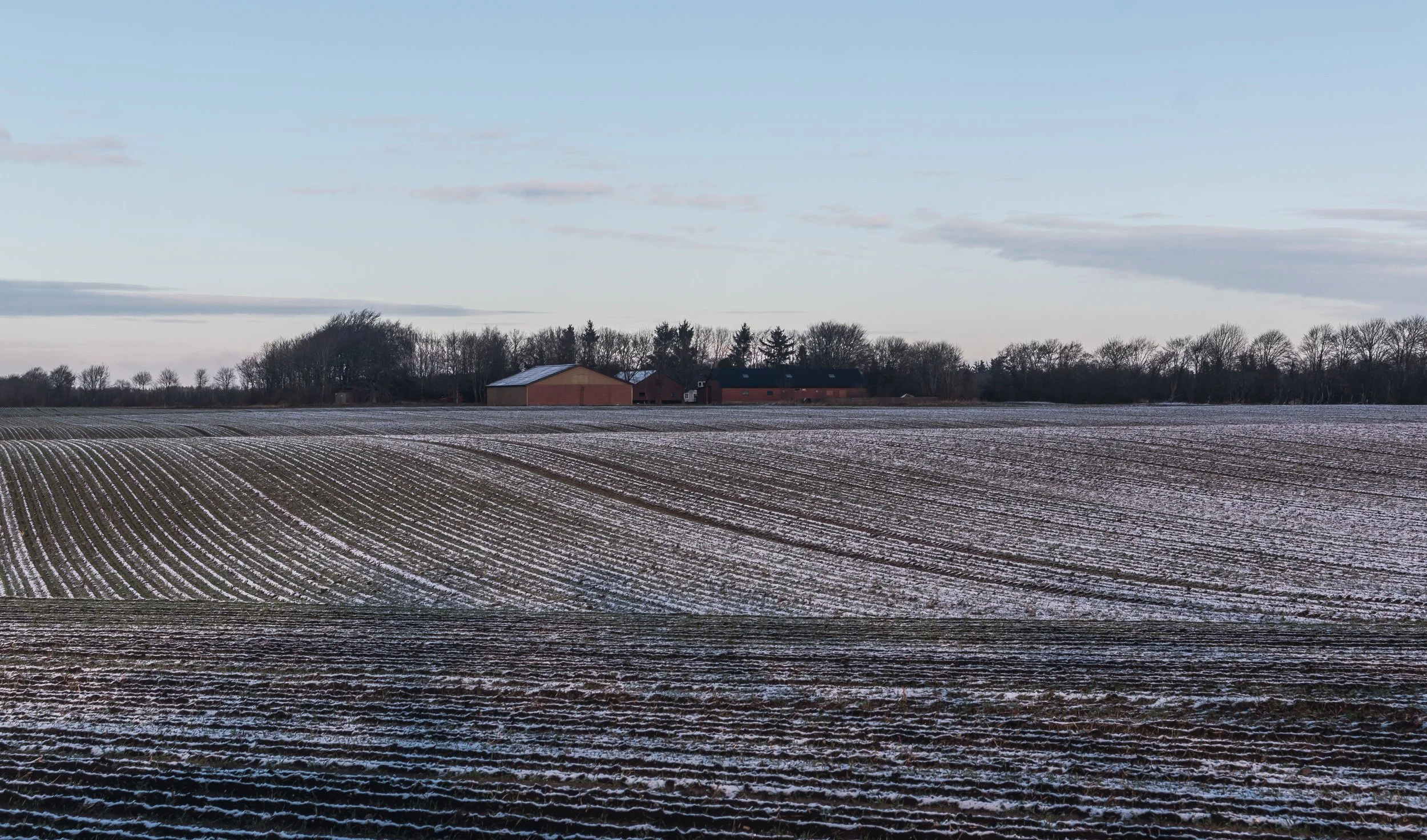 Winter Field Mike Dugenio.jpg