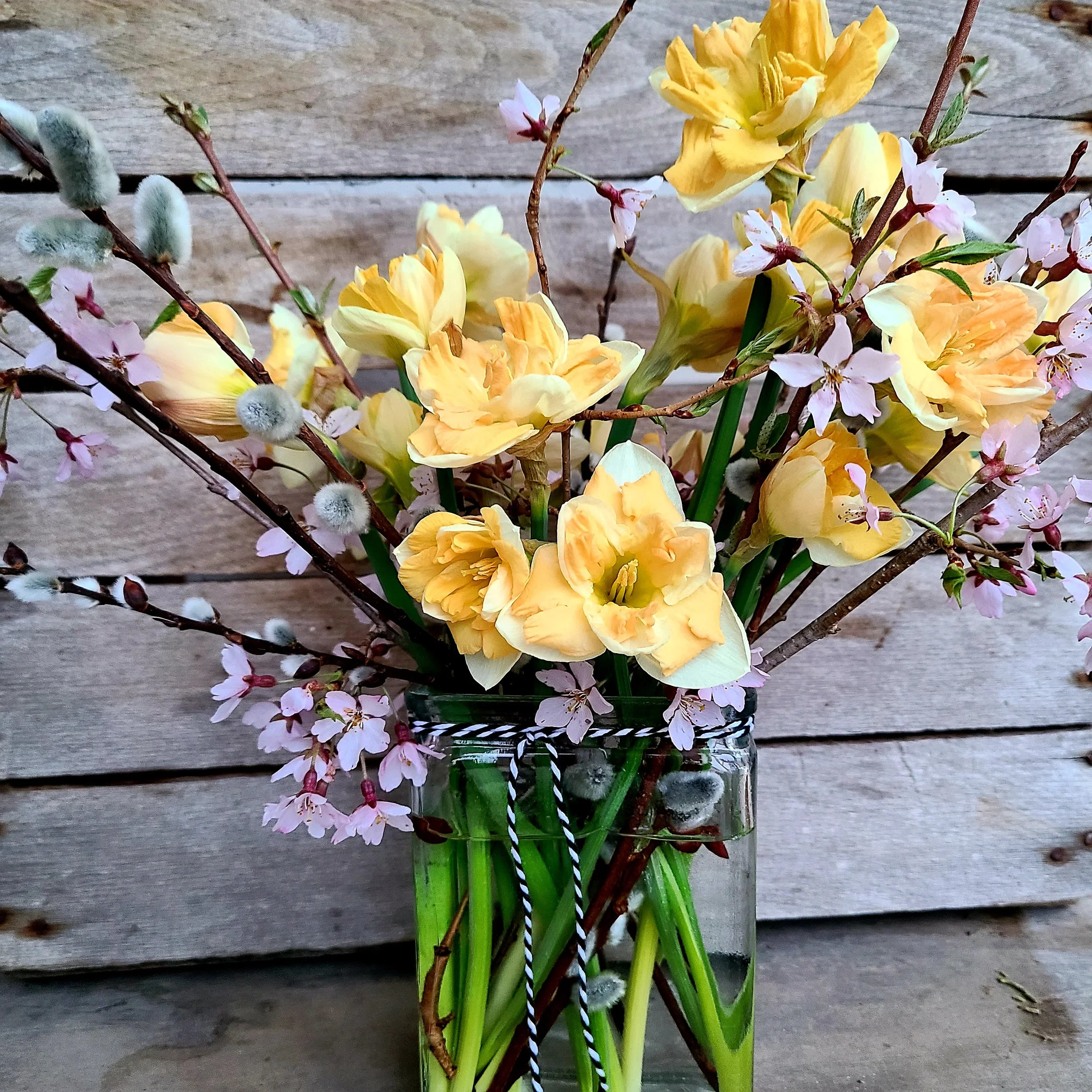 Spring Flowers; Our varieties and how we harvest and care for them.
