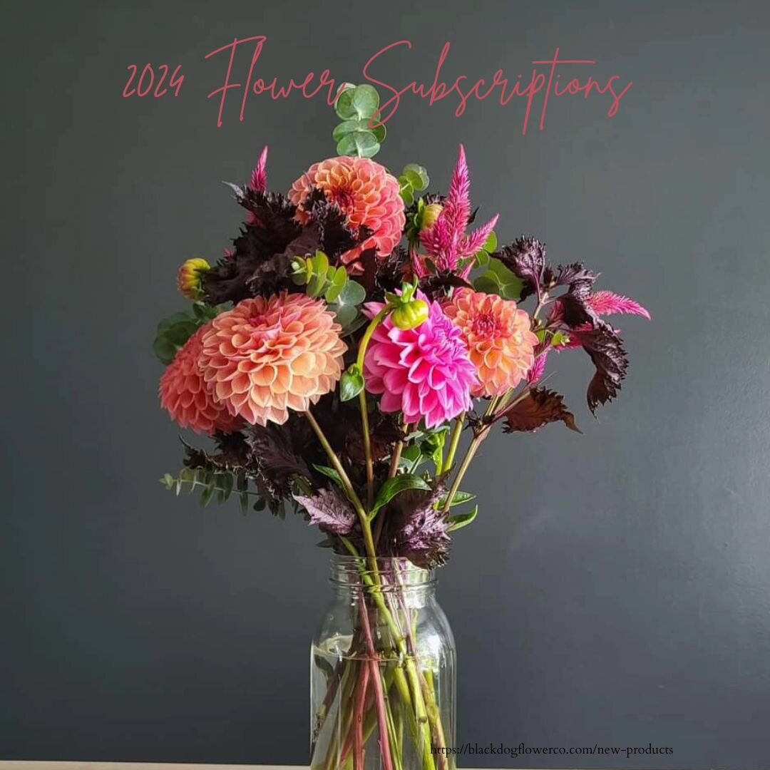 Summer Flower subscriptions are available in the shop! 

We still have spots in Addison at the Sandbar Cafe, Morenci at the Stair District Library, and in Brooklyn at Kate's Art School.  We also have porch pick up in Hudson!

Subscriptions are a supe