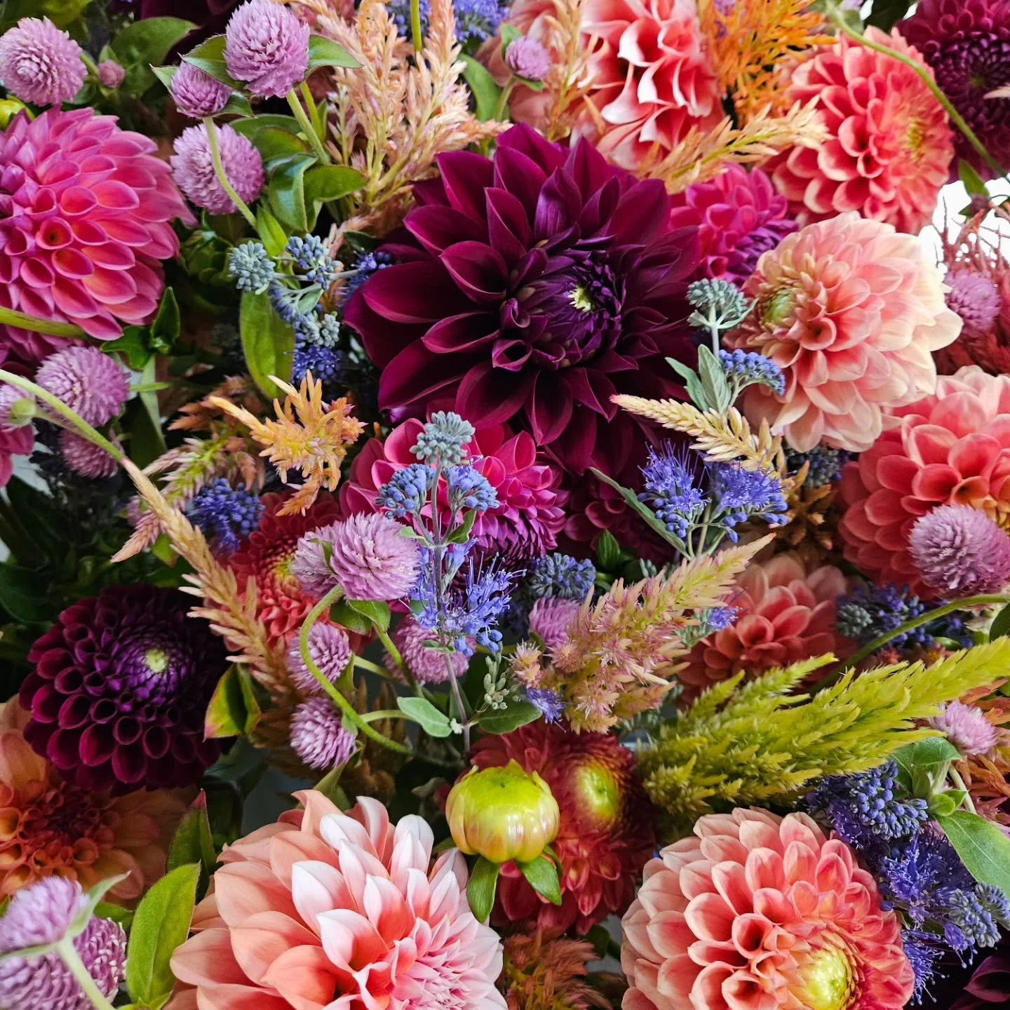 Summer flowers for the 2026 season are up on the website! Fresh evergreen holiday centerpieces and arrangements with juniper and citrus too!  Gift cards are available for your local besties as well💞

Use the code HOLIDAY2025 for an additional 10% of