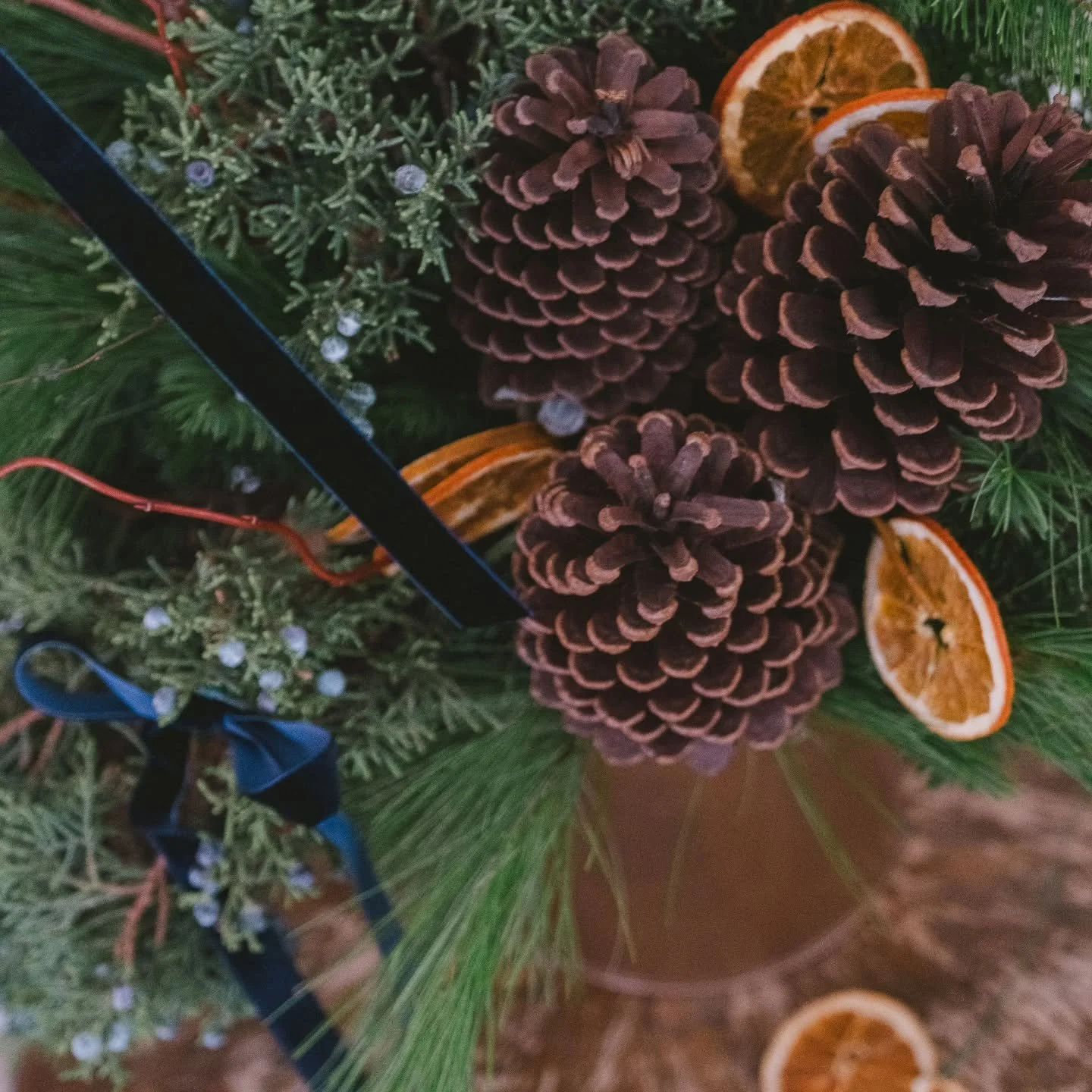 juniper&nbsp; 
and citrus 
and pinecones
and bows. 

We love a modern holiday floral thats long lasting and totally natural.... and so does your mom, and grandma, and best friend who's always thowing the party, and your favorite aunt who lives alone.
