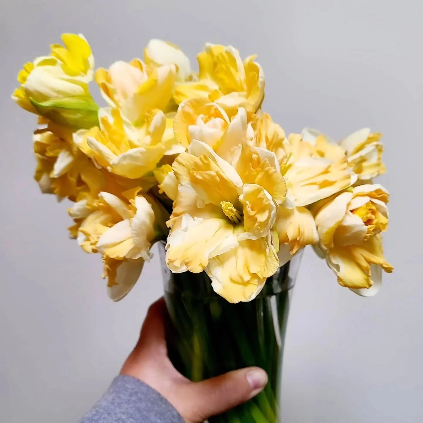 March is always a month of everything.

Winter.
Spring.
Chirps of frogs.
Vacations before the long season begins.
Seed starting. 
Snow.
Daffodils poking out of the ground.
Tiny baby plants.
Warm sun.
Freezing nights.
Mud.
Ranunculus planting.
Field c