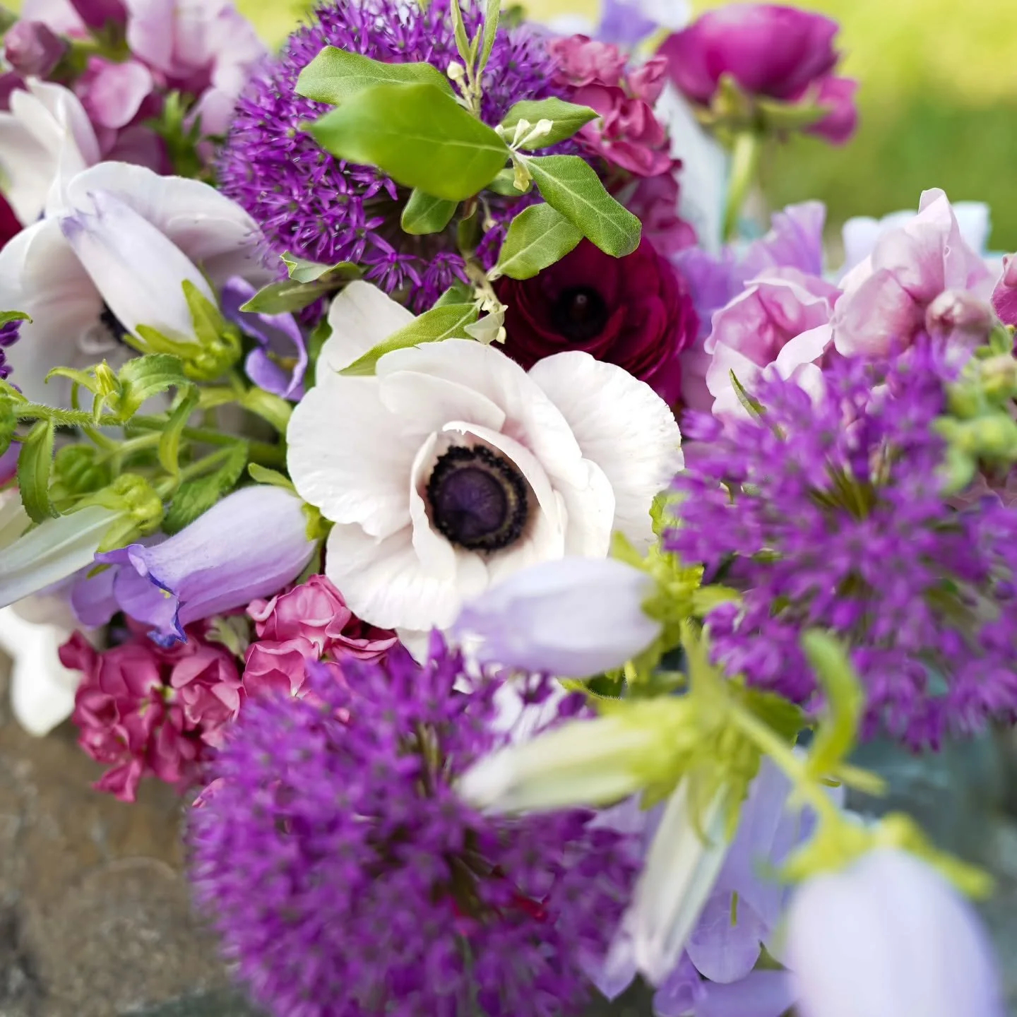 Thanks for all your support for Mother's Day flowers. We are sold out! 

However, if you'd like to get mom a flower related gift we have gift cards, peony workshop tickets, summer flower subscriptions, ond open farm night tickets on our website. Reac