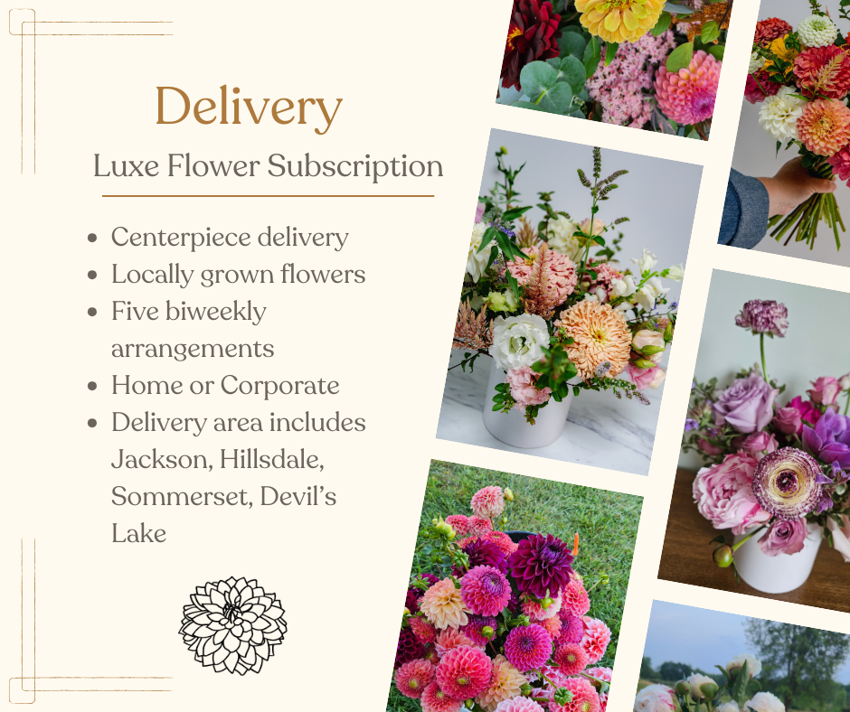 Home + Office Luxe Summer Subscription Delivery