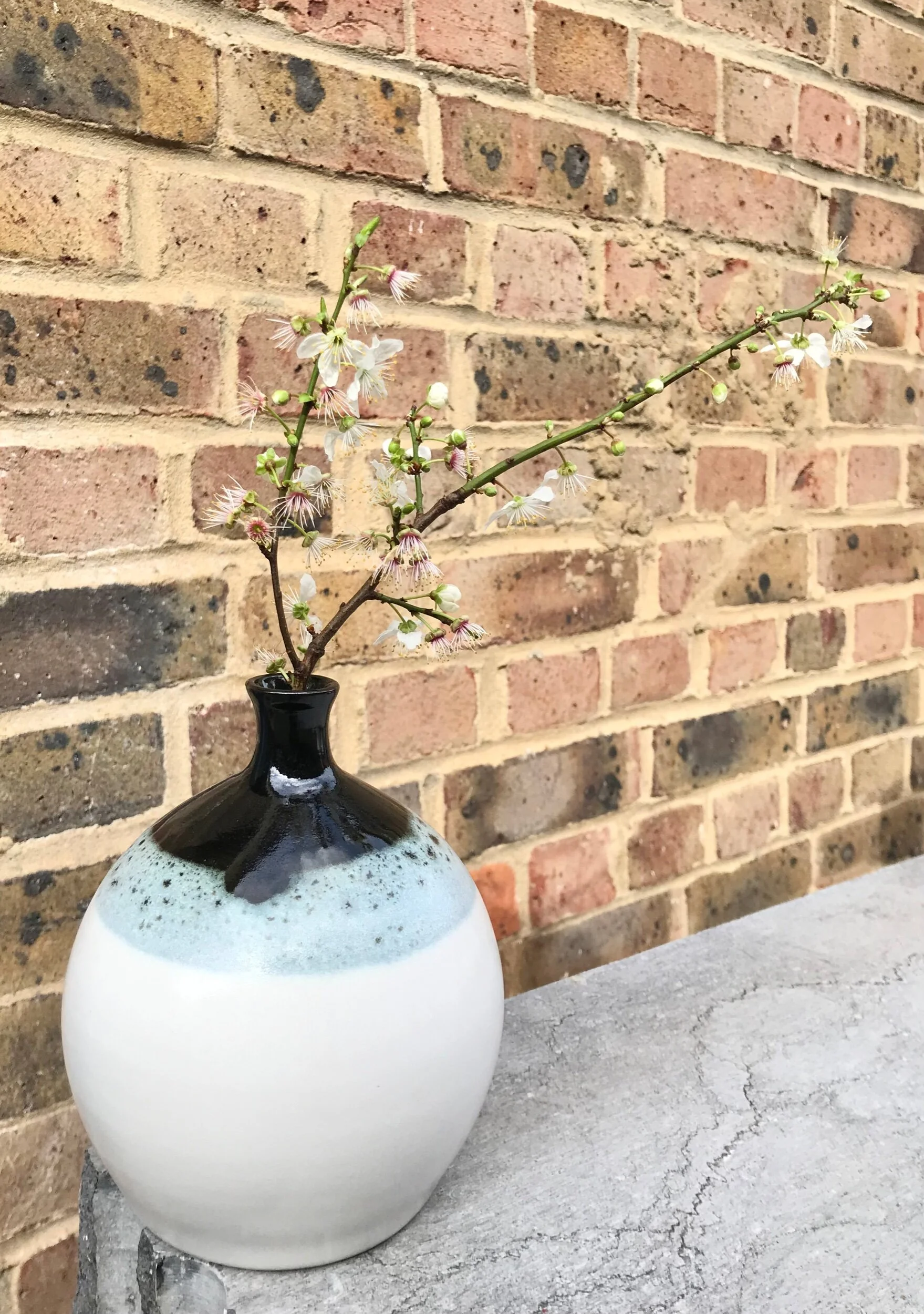 AE79E2BE-C830-43C8-B6D3-14AAADD3F3B6