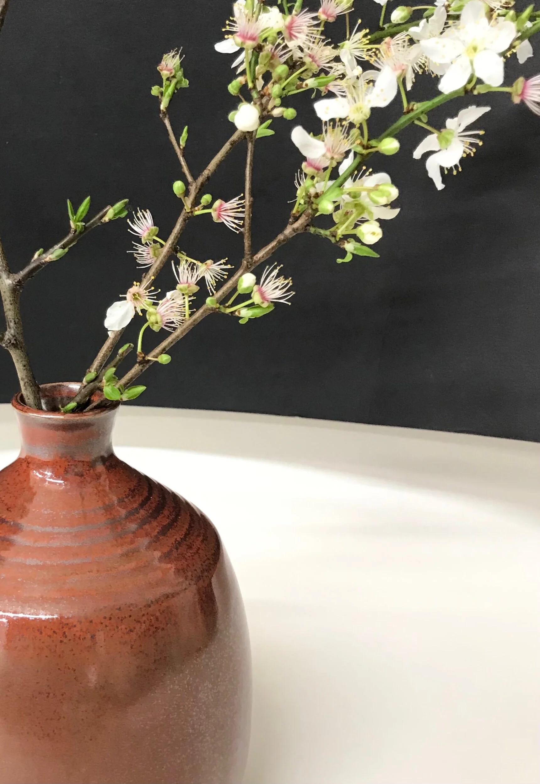 D8117D8F-6614-46D0-91EB-AB7EBBFD9BA4