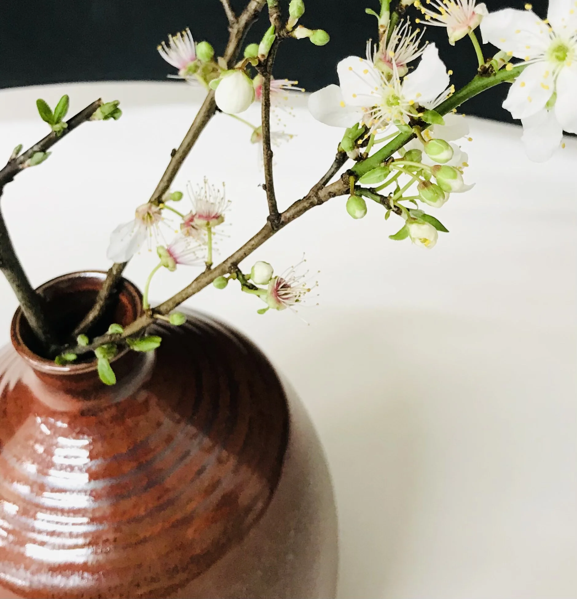 408FCD46-8886-4373-9D45-E9D1FBD43486