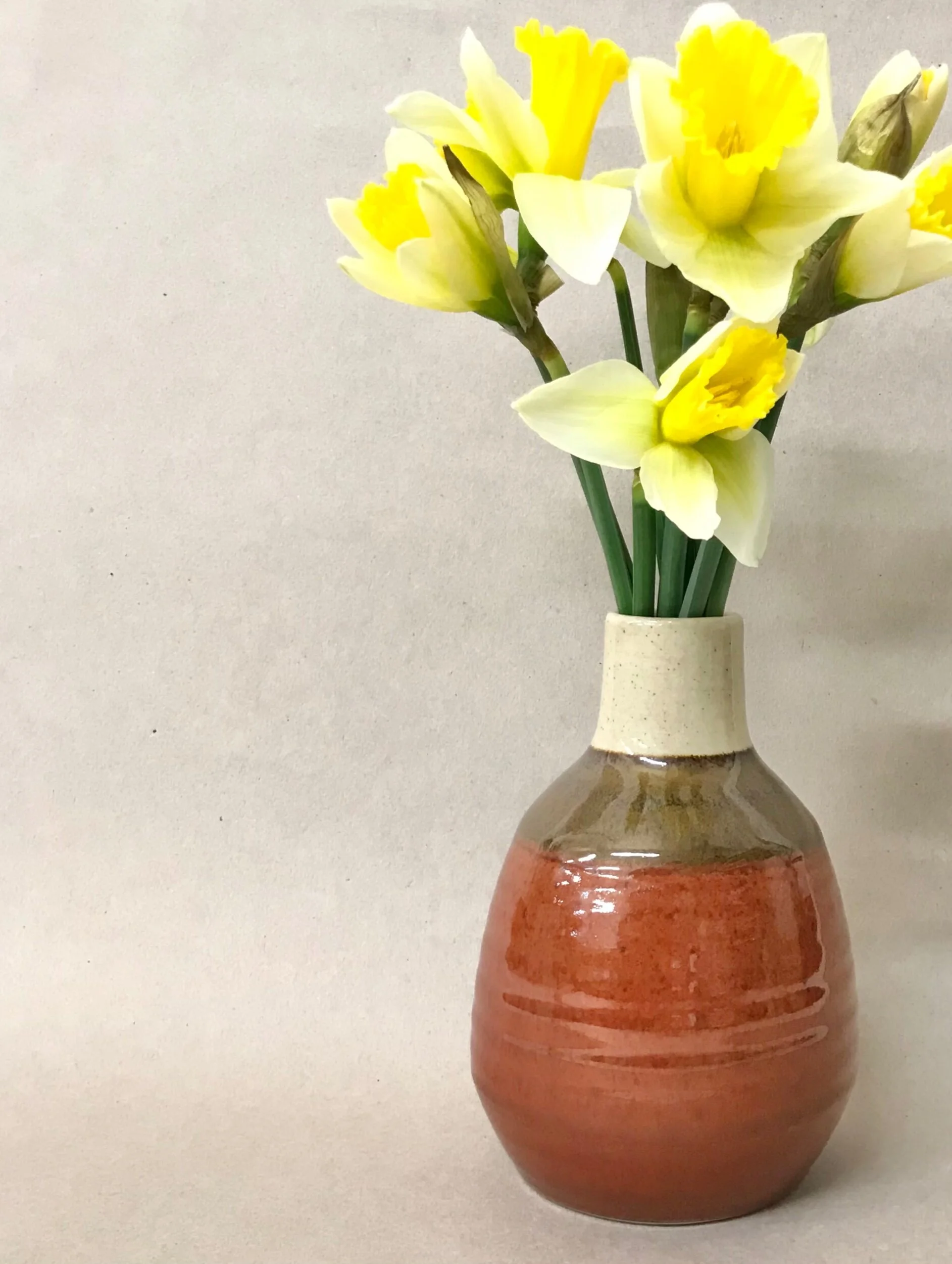 FD016EED-9D75-454C-B96E-5EBA398E4769