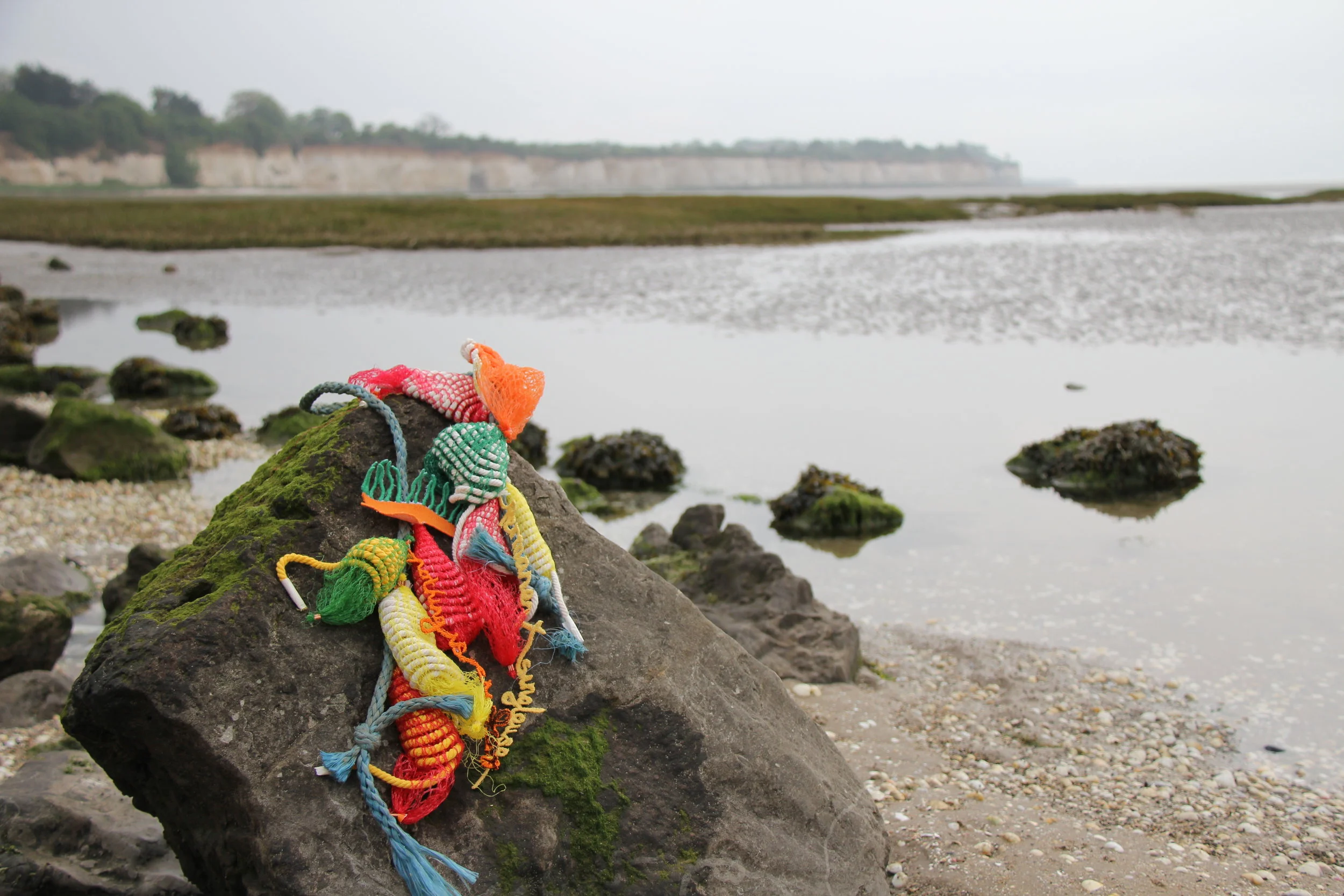 WooJin Joo Image 05.JPG