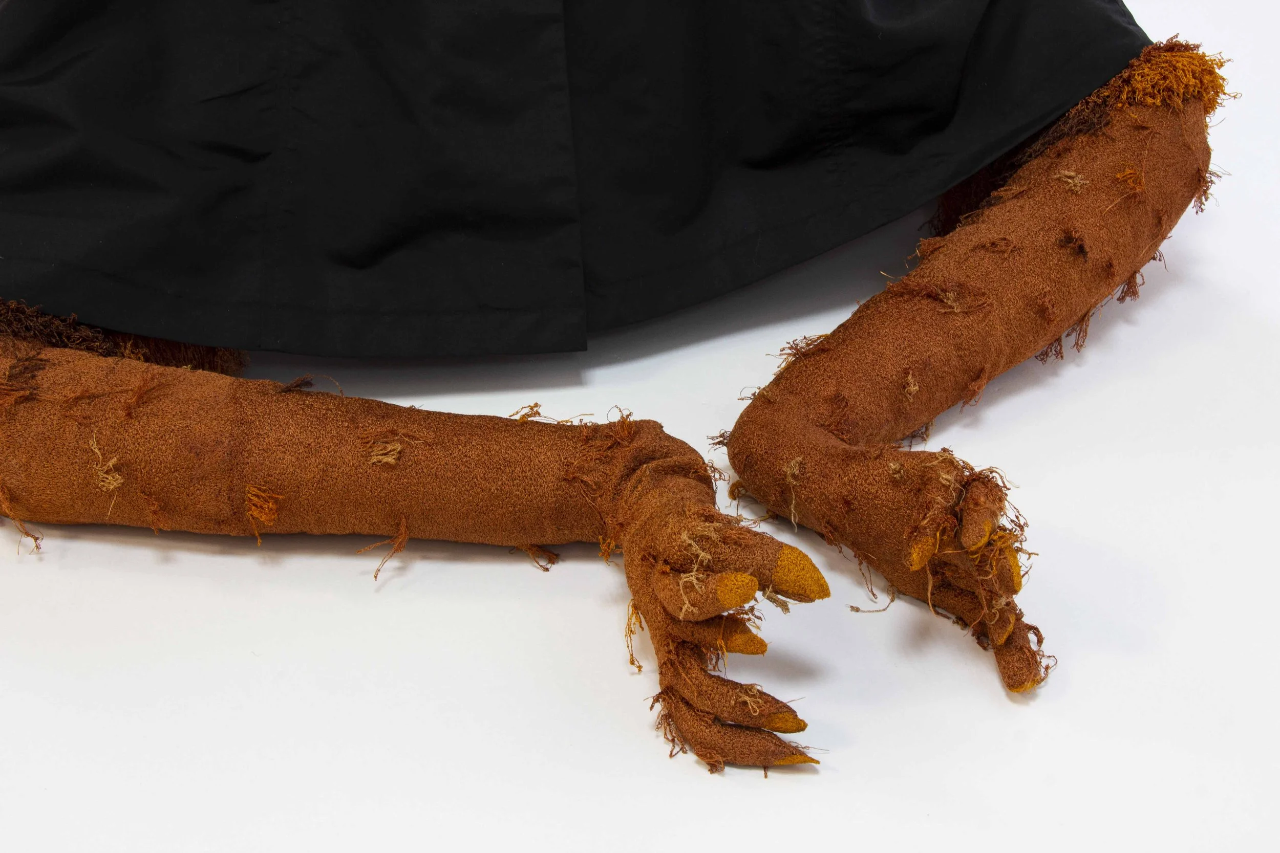 People Who Deny the Existence of Dragons Are Often Eaten by Dragons, From Within.