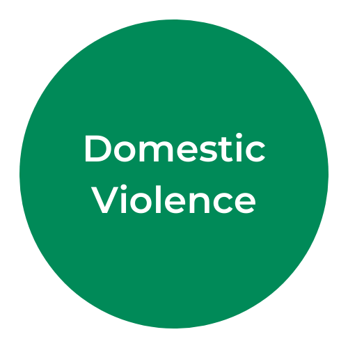 Copy of Domestic Violence (1).png