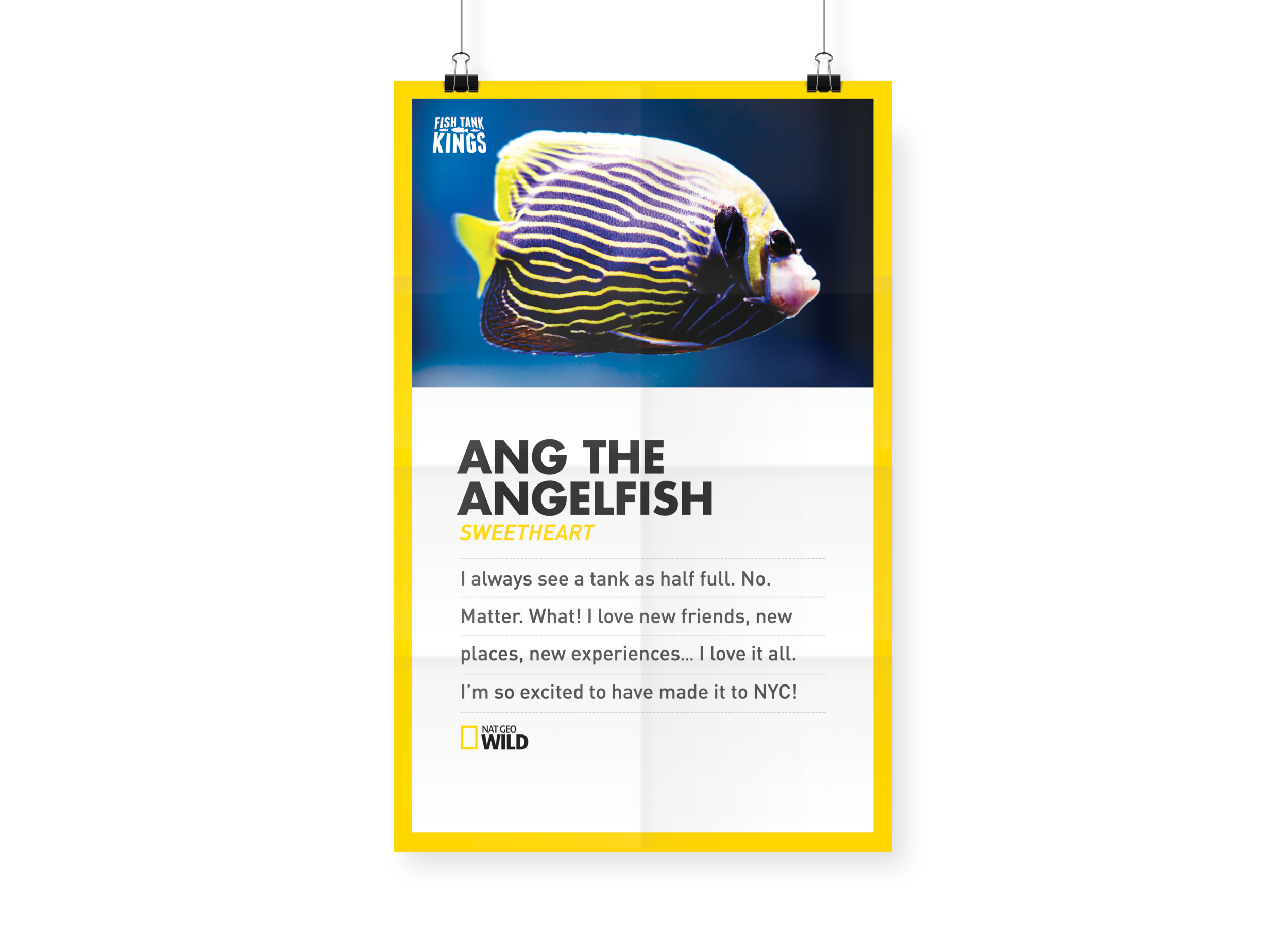 ftk_ang.png