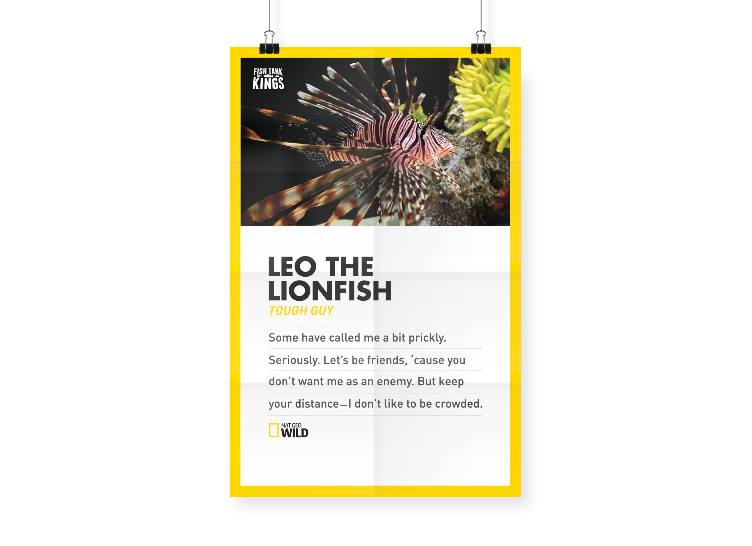 ftk_leo.png