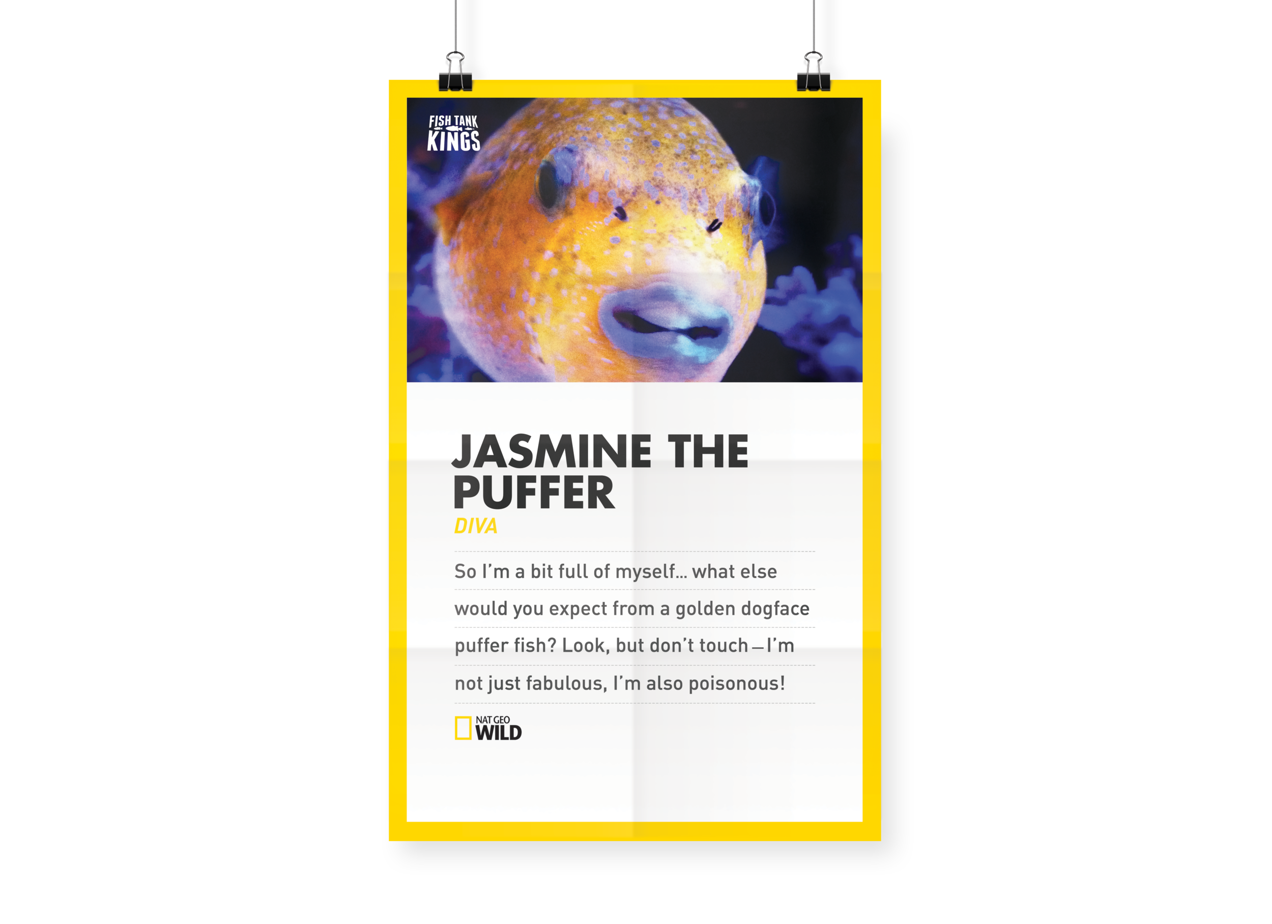 ftk_jasmine.png