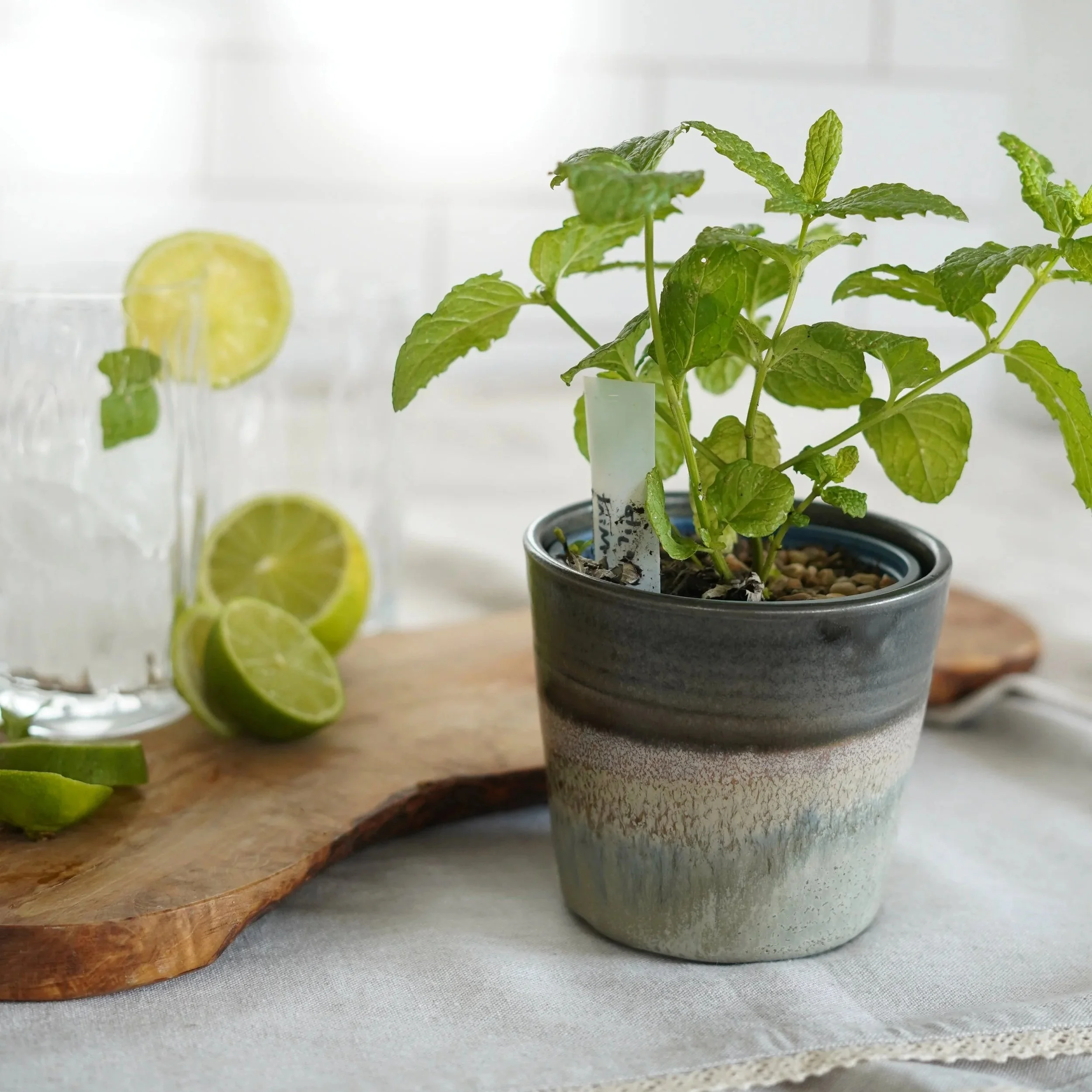 Herb Pot