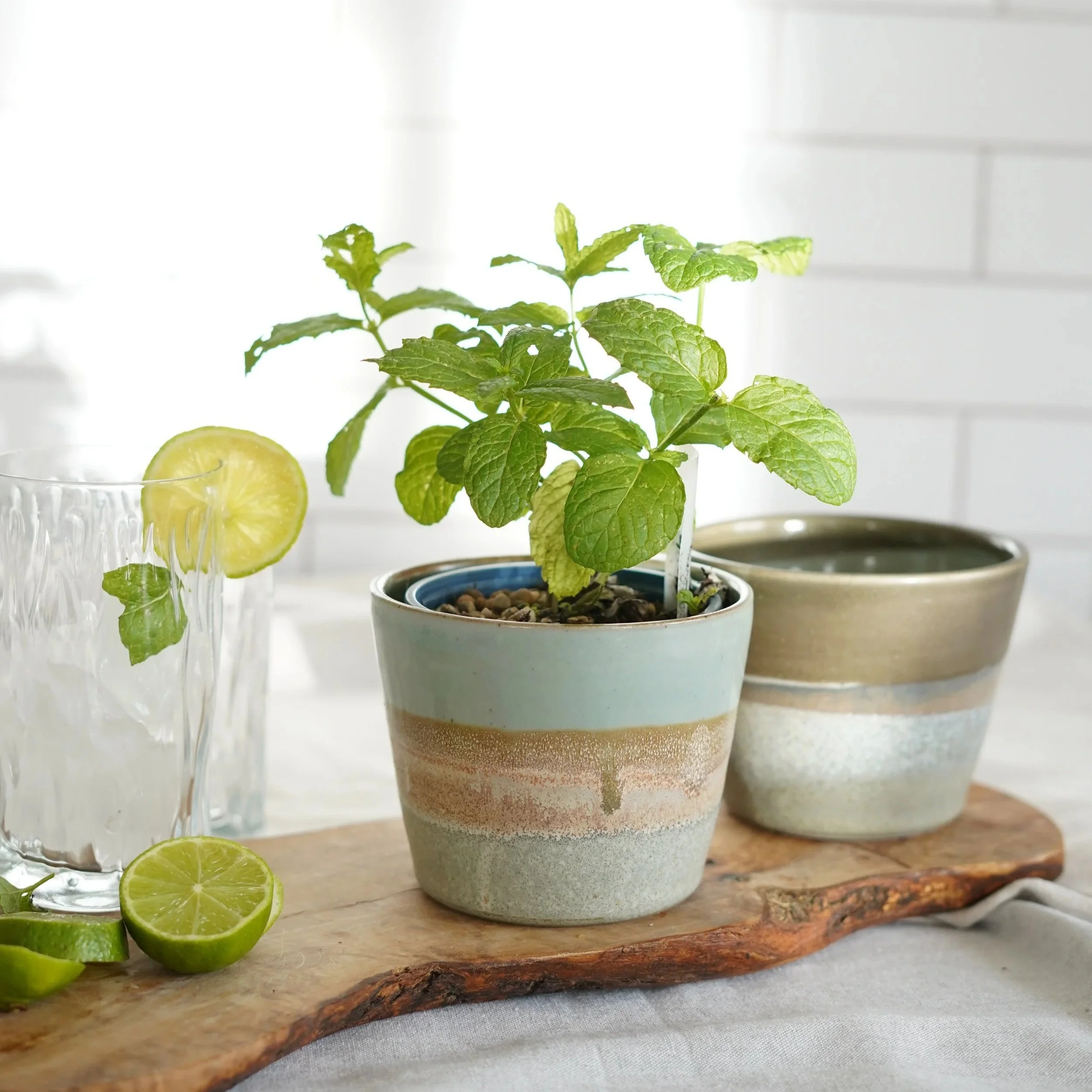 Herb Pot