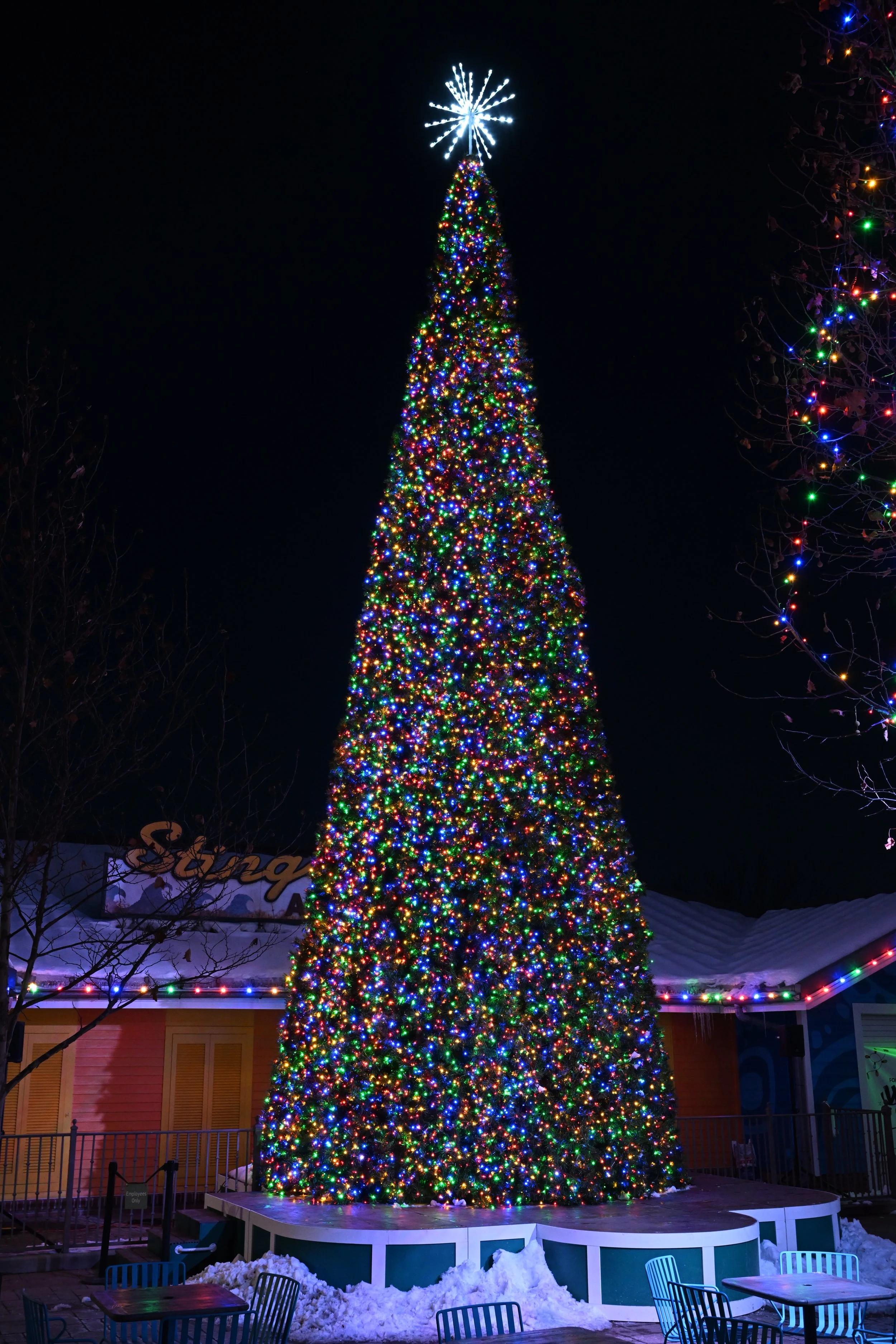 A large outdoor Christmas tree decorated with multicolored lights at night, topped with a white starburst star.