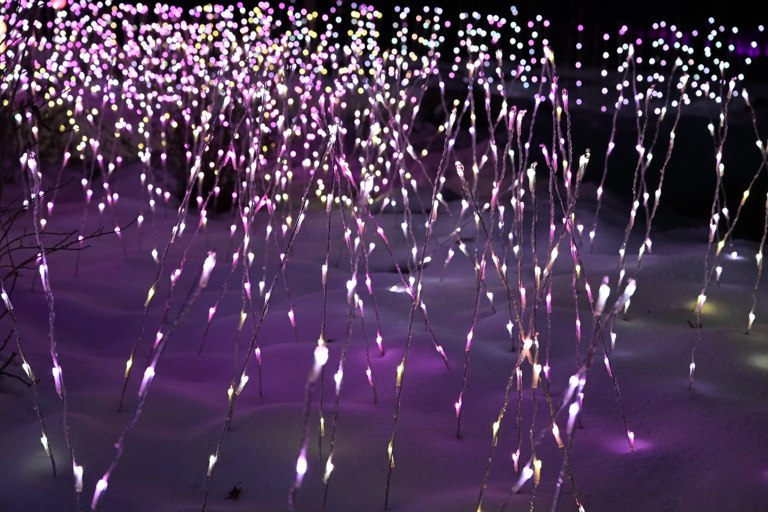 Colorful LED string lights arranged outdoors at night, glowing in shades of purple, pink, yellow, and white, creating a festive scene on a snowy surface.
