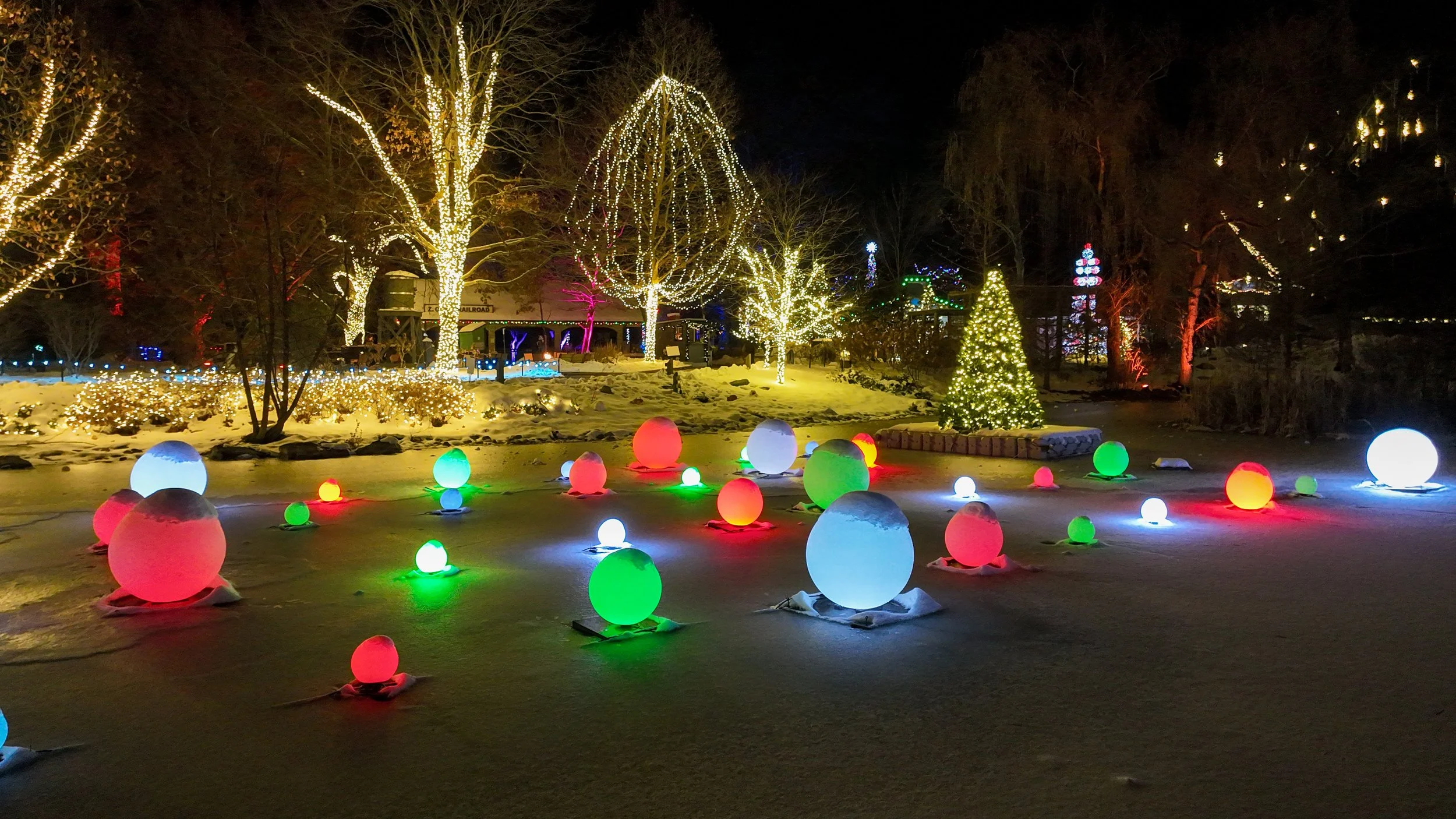 Nighttime outdoor scene with illuminated trees, colorful glowing orbs on the ground, and holiday decorations.