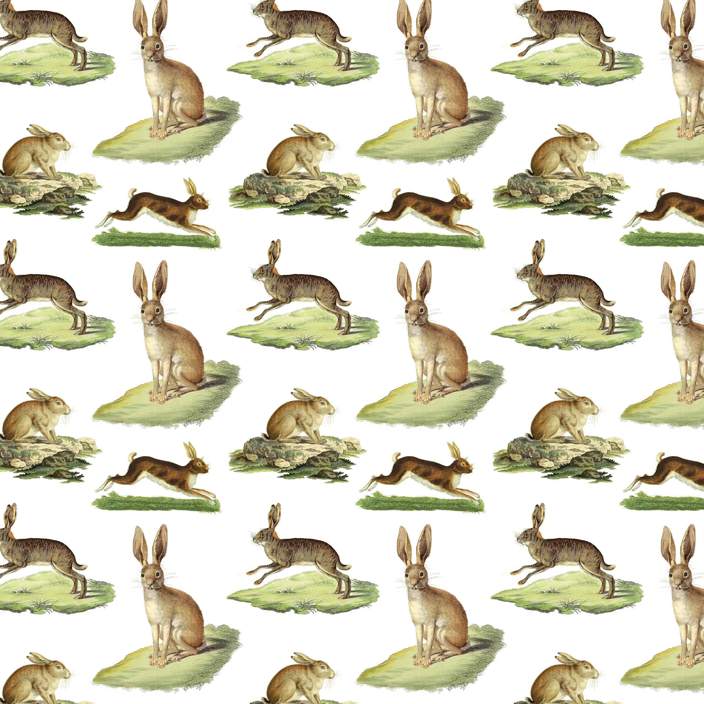 rabbits wrap.jpg