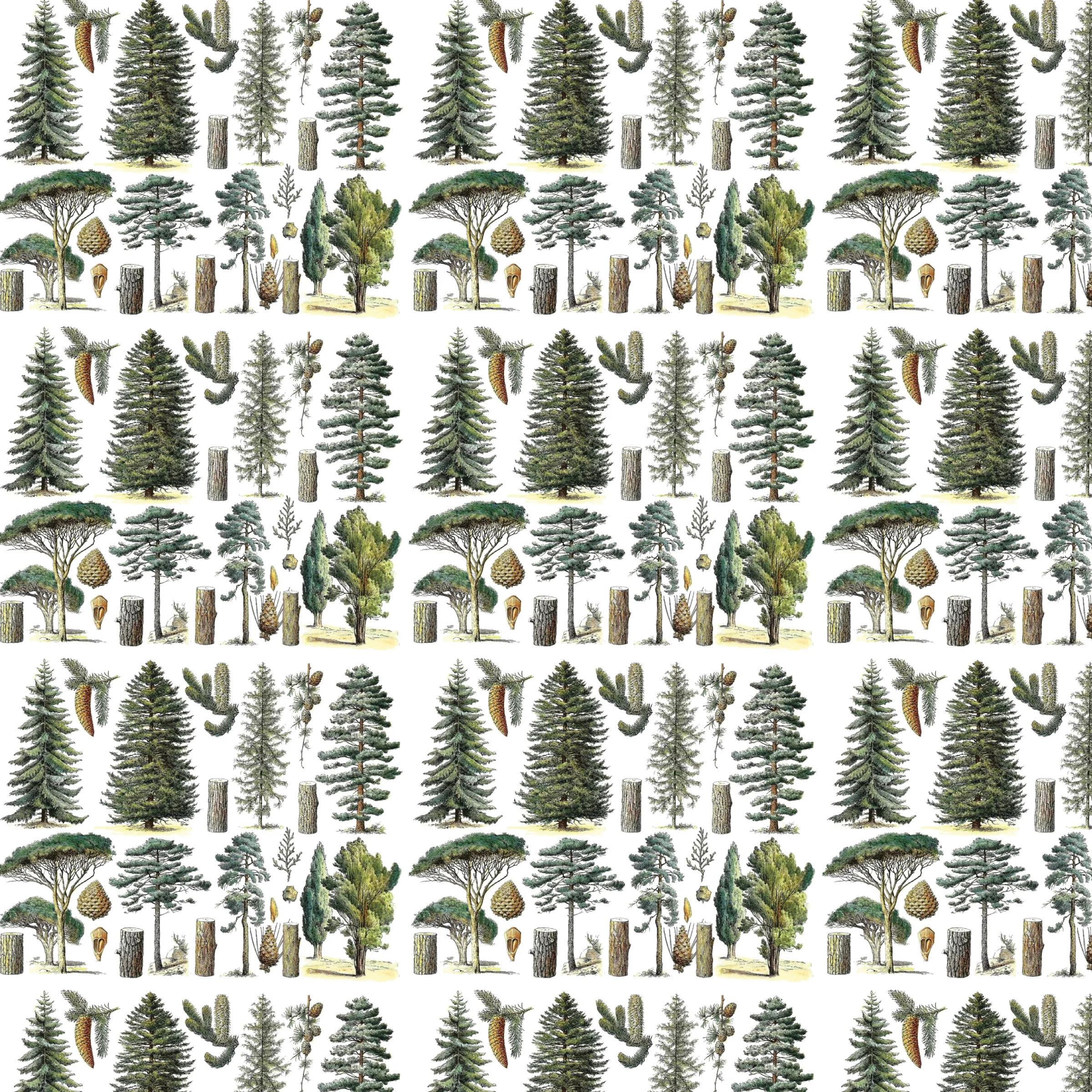 Conifer Forest Gift Wrap