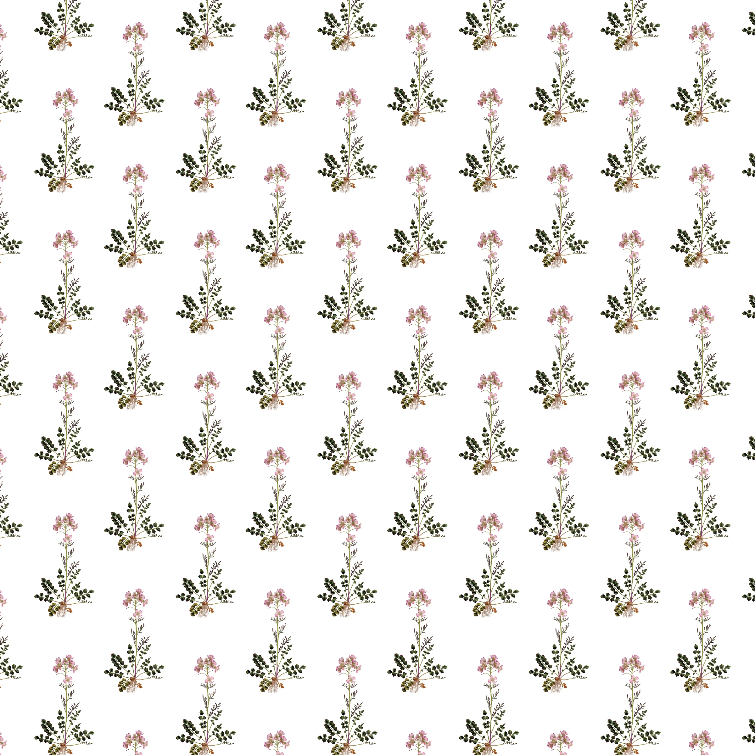 cuckooflower wrap.jpg
