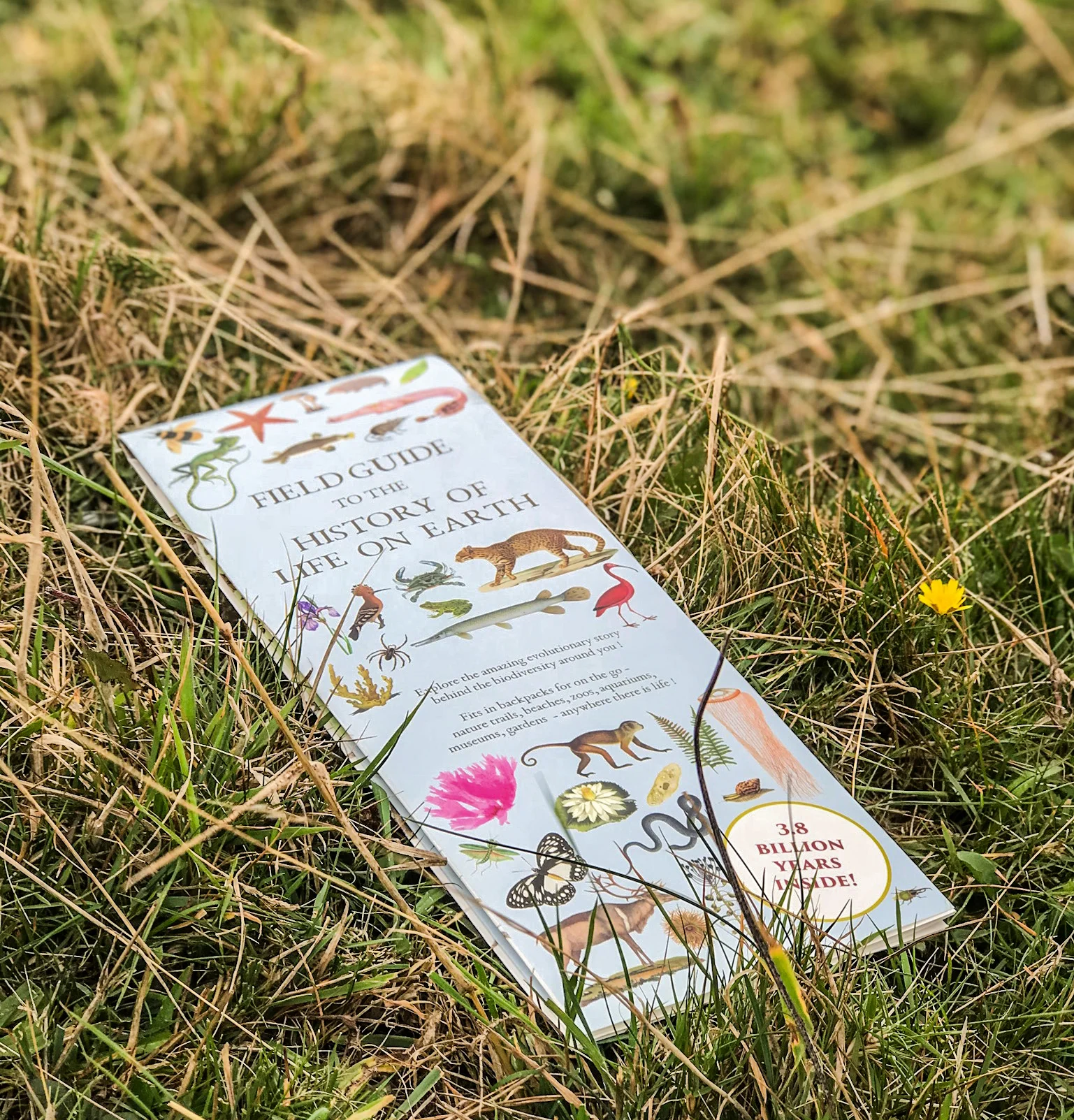 Our newly updated Field Guide is now available!