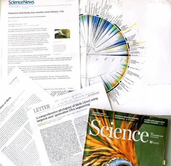 Educators and Sources — Fairhope Graphics - Evolutionary Trees ...