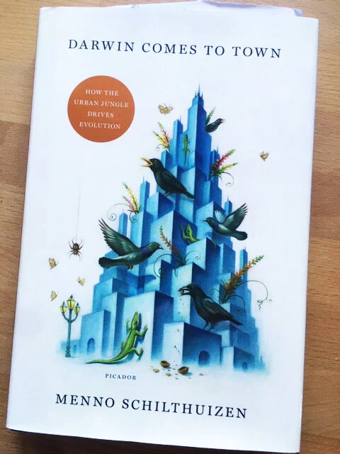 Urban Evolution - January  2019