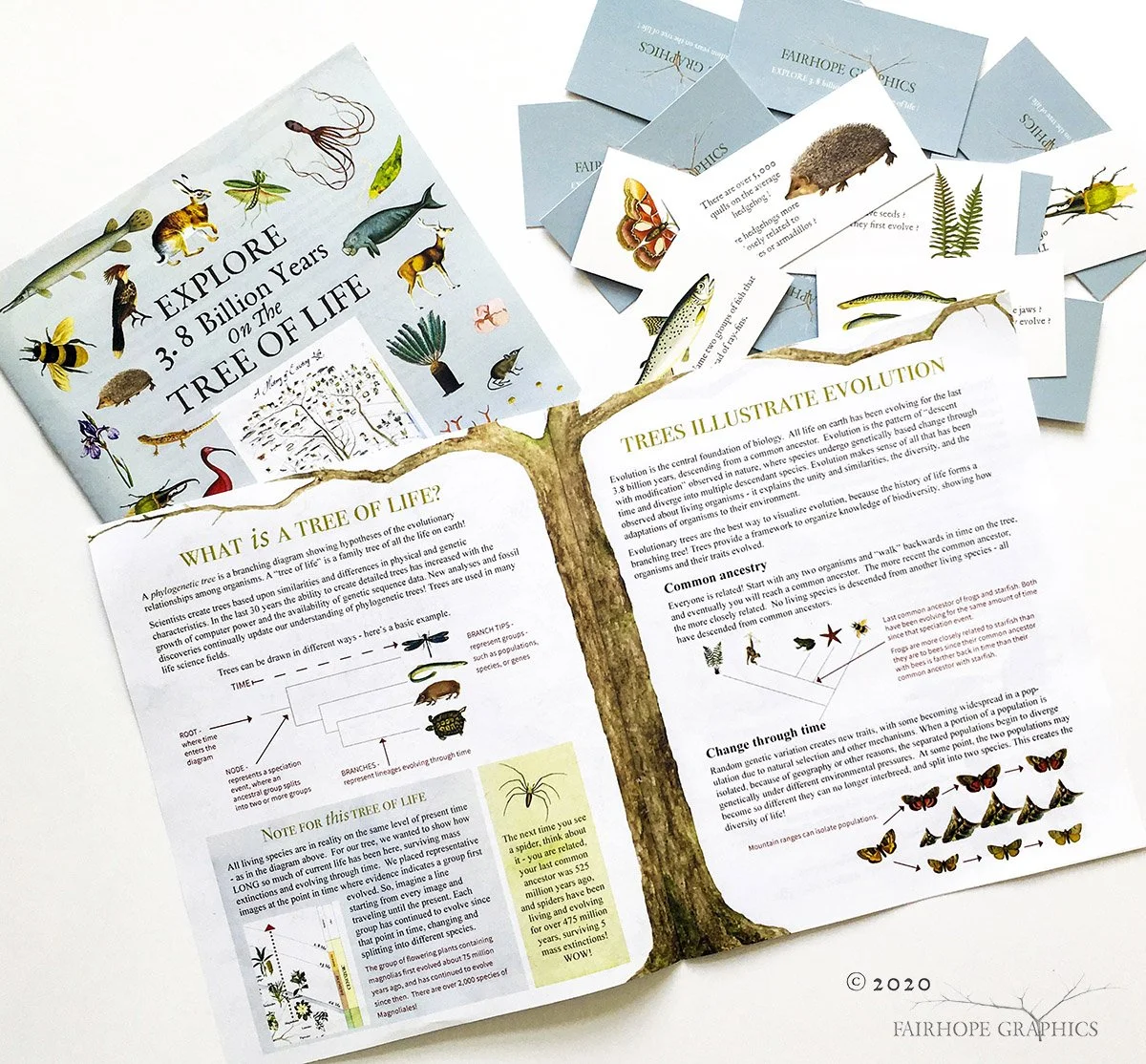 The Tree Game Card Packs and Booklets