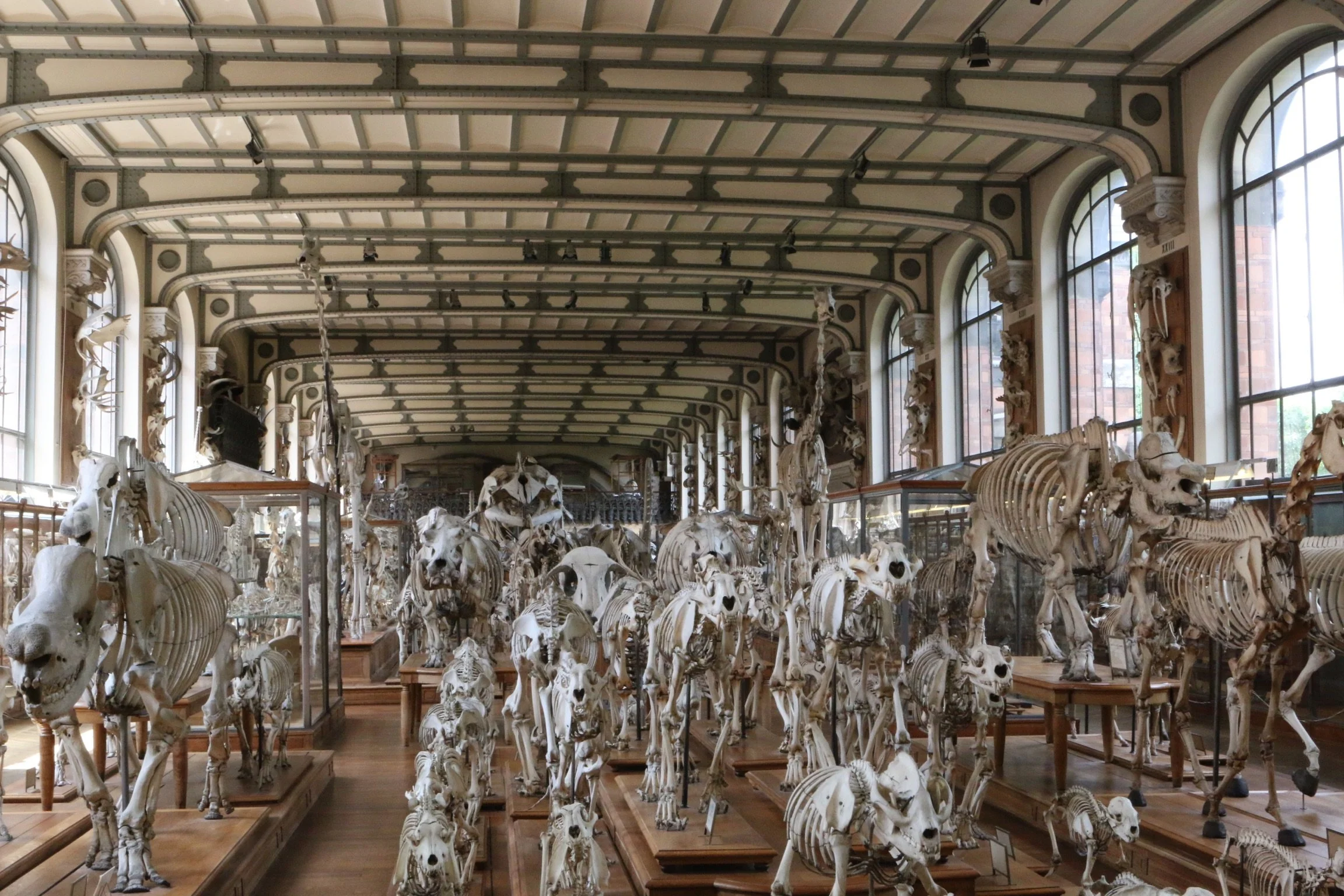 Graduation Trip / Museum Tour - June/July 2016