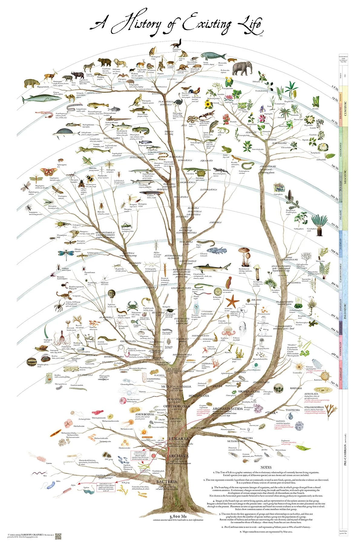 A history of Existing Life A history of Existing Life