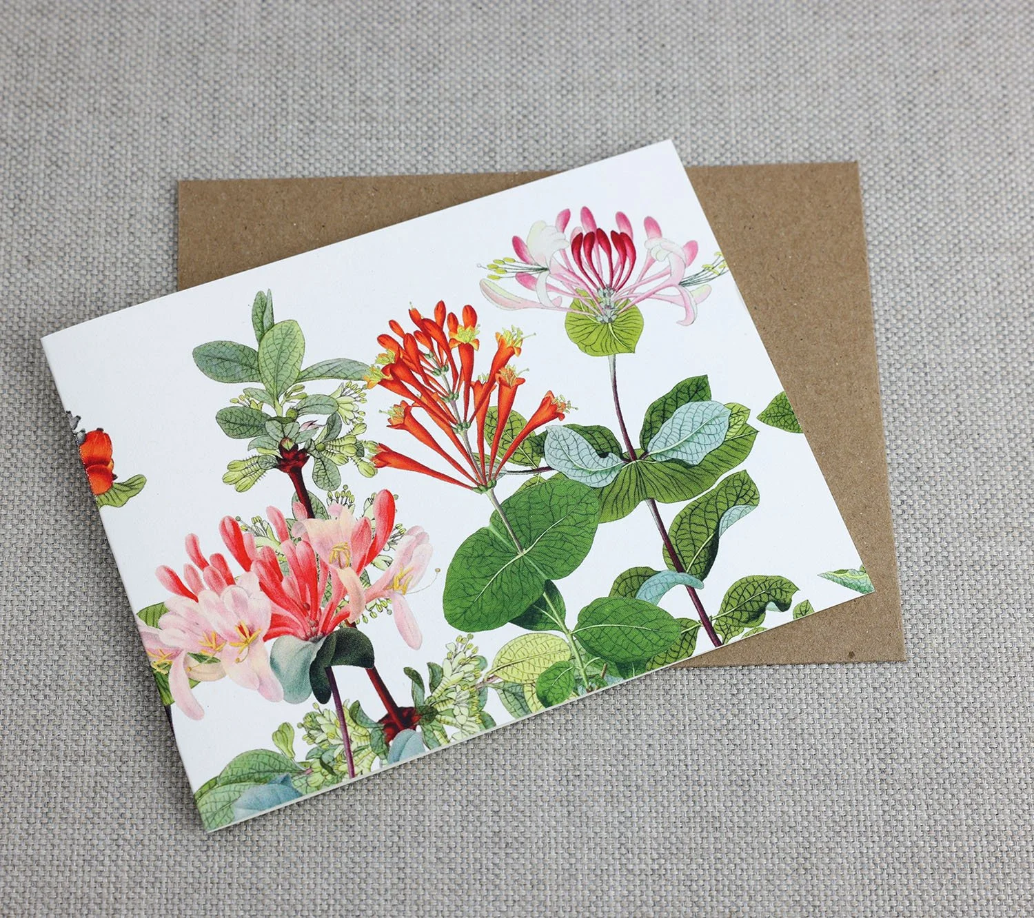 honeysuckle front.jpg