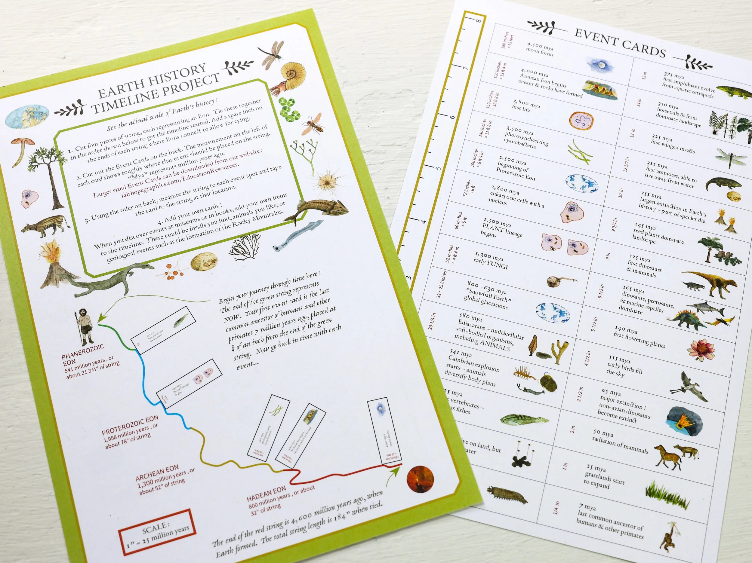 24 earth timeline activity sheet b-3.jpg
