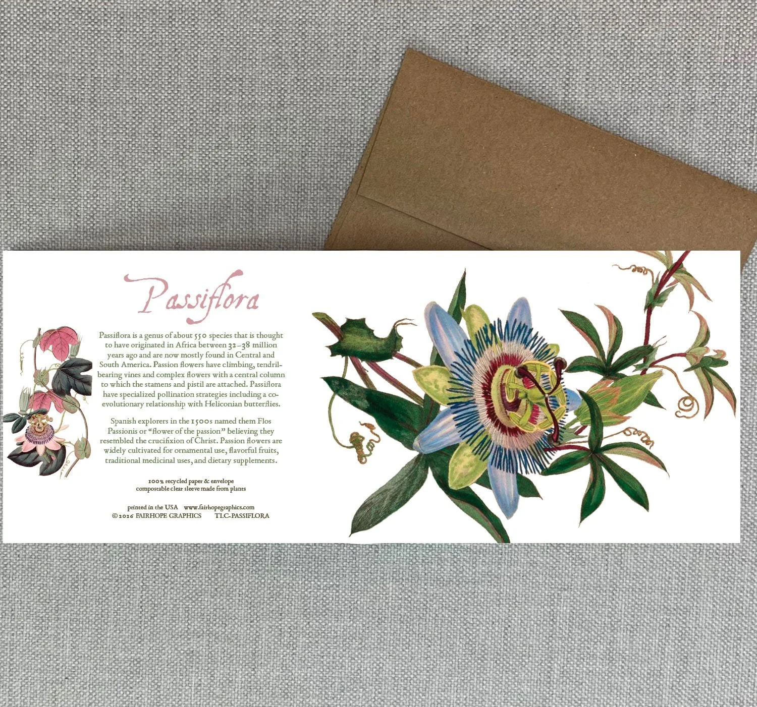 passionflower 26.jpg