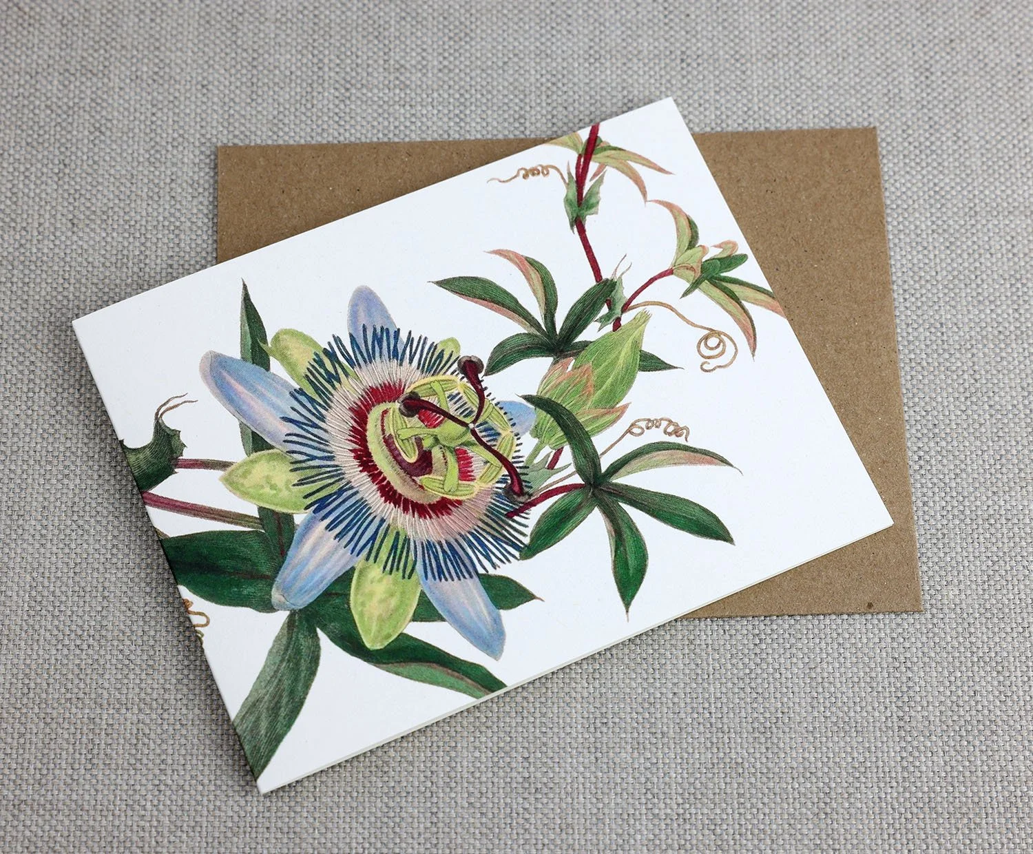 passionflower front.jpg