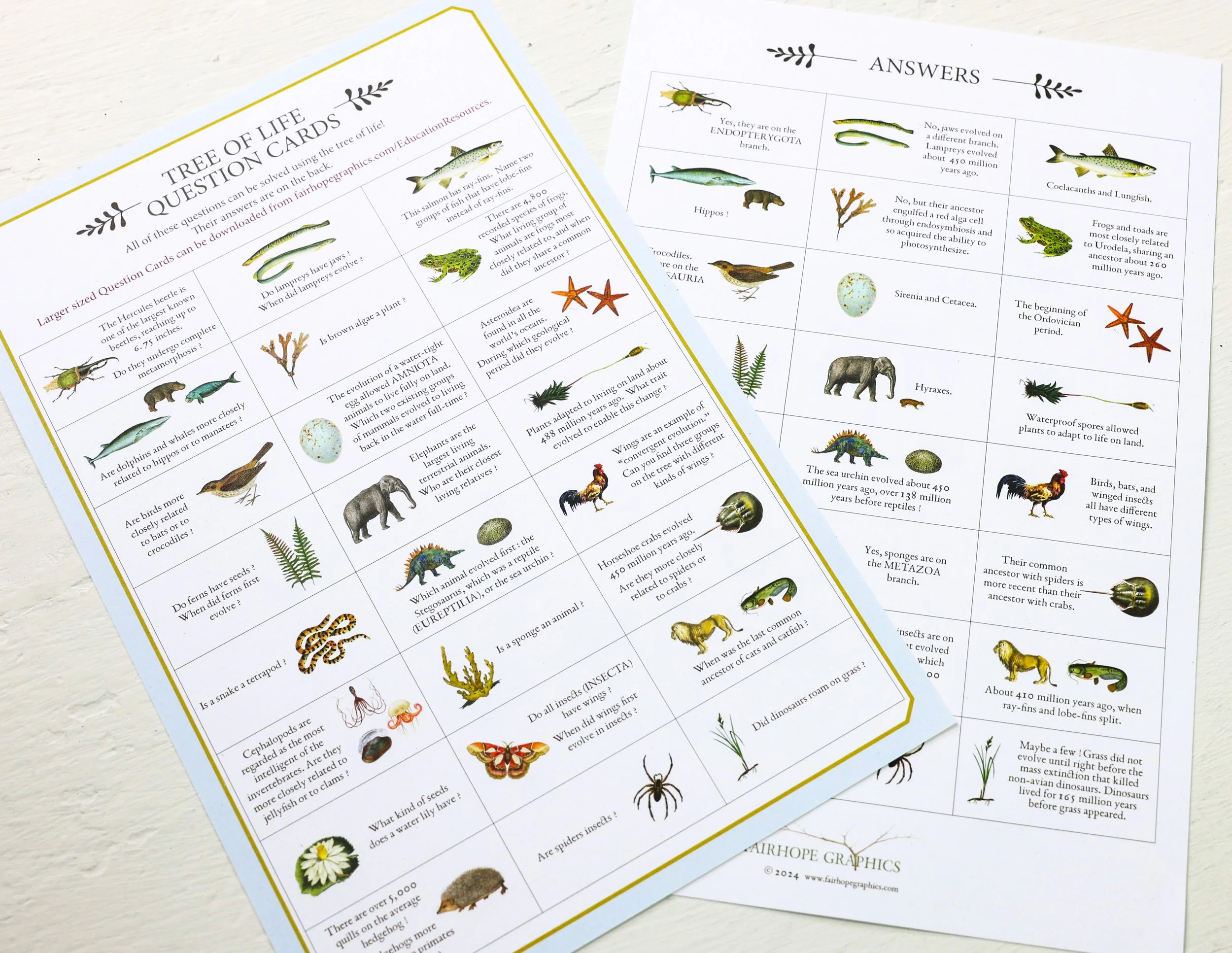 24 tree activity sheet-3.jpg