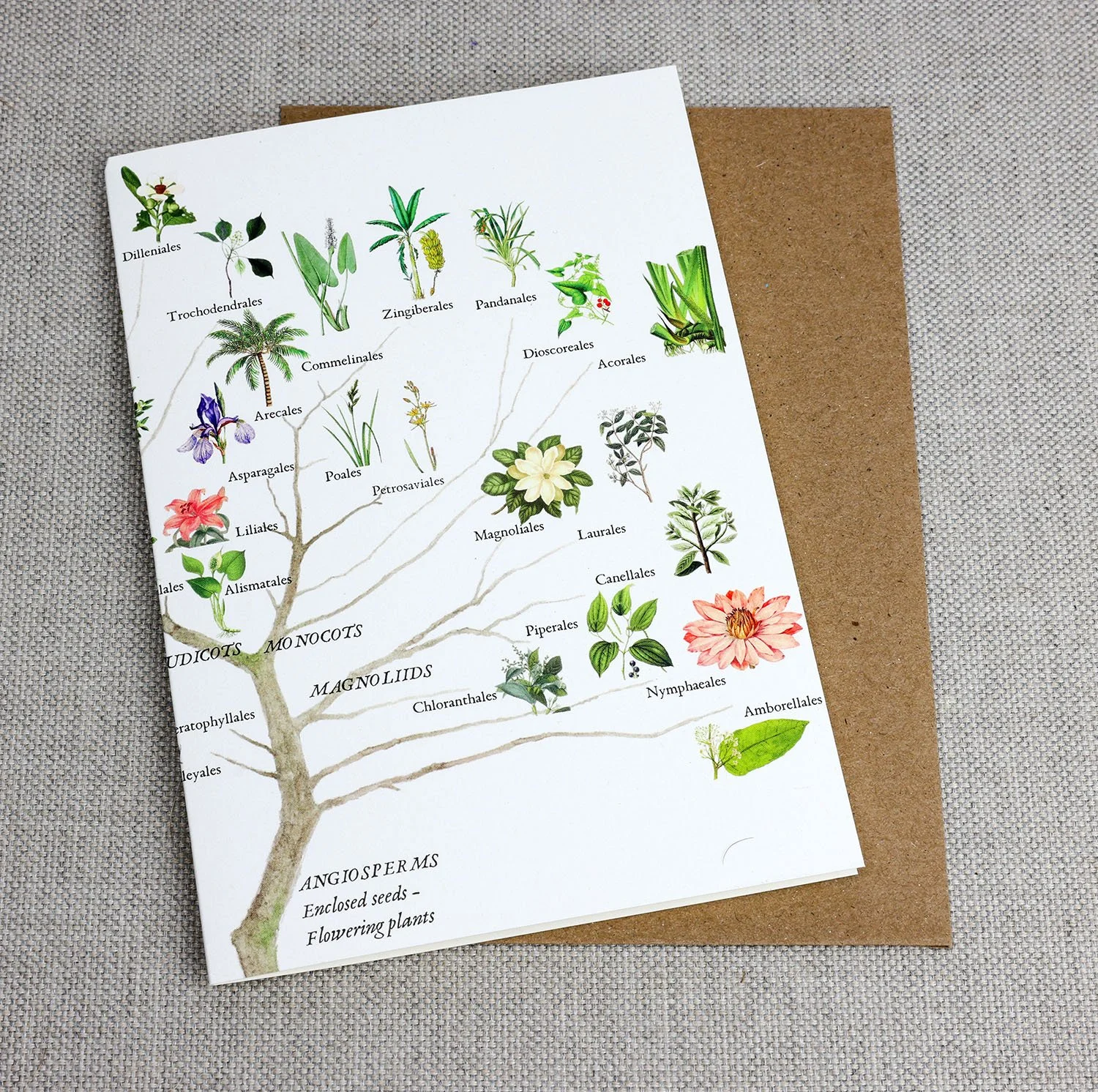 Flowering Plants Branch Card