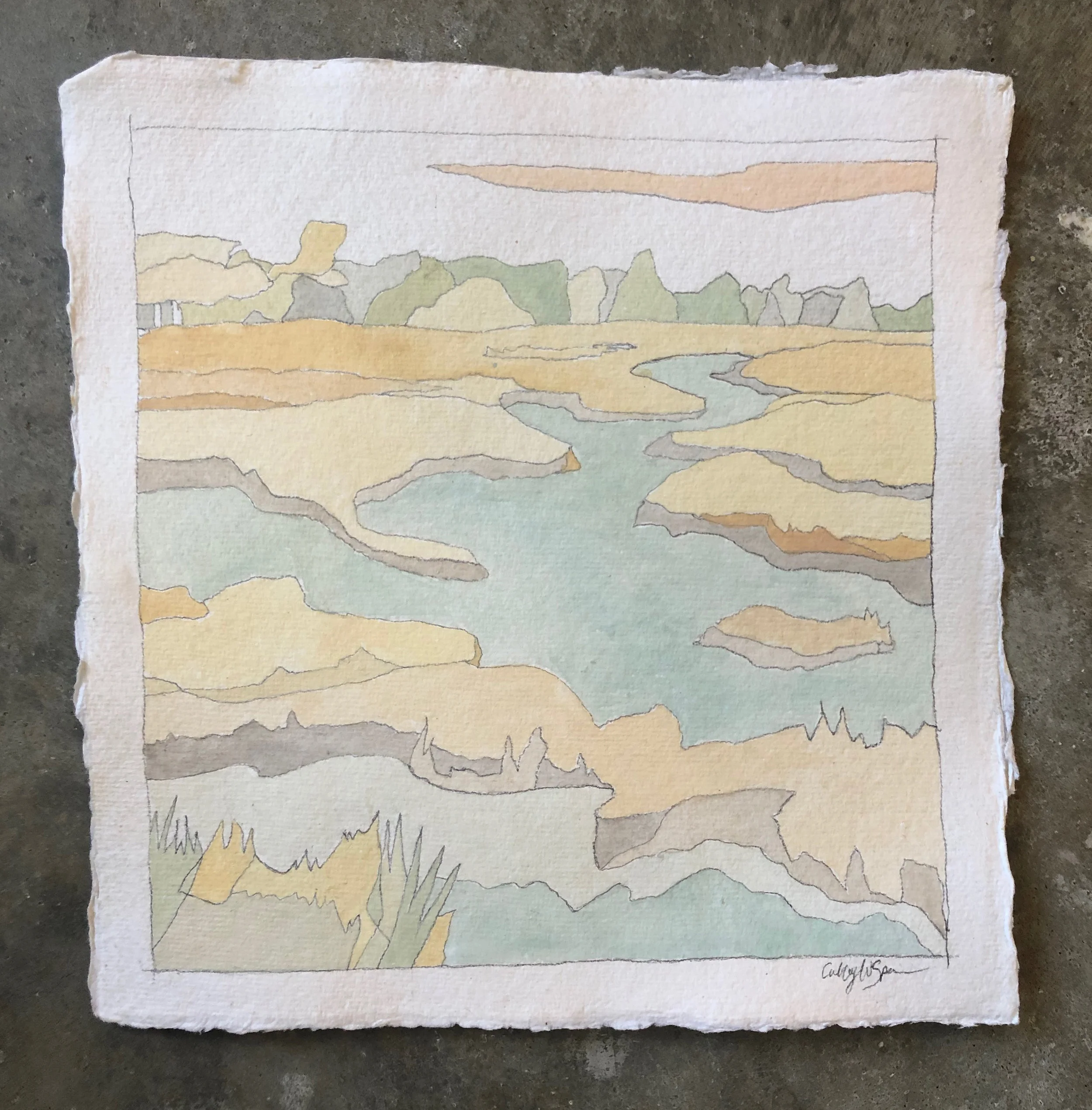 Marshlands I