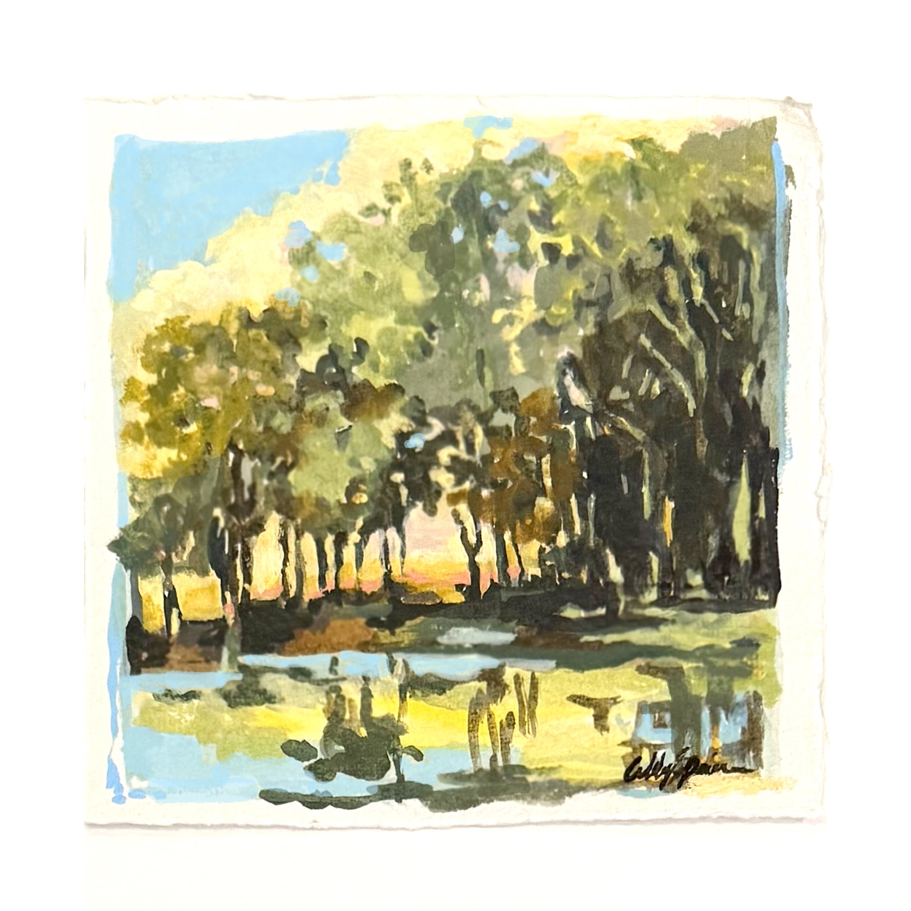 Cottonwood II.jpg