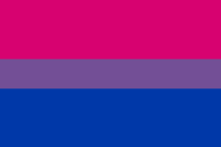 bi flag.png