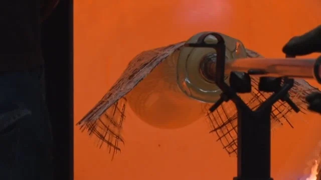 Cloaked - Cathryn Shilling