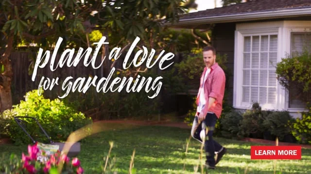 Growing Boy - Sevin Preroll Video